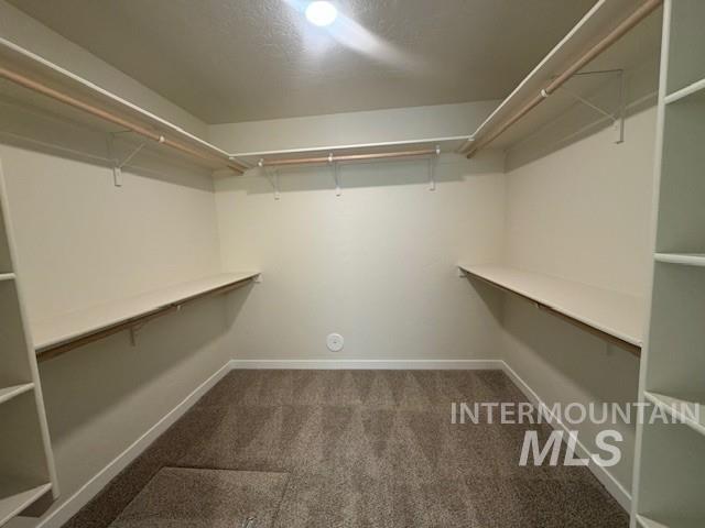 10211 Bellevue Ridge St Property Photo 13