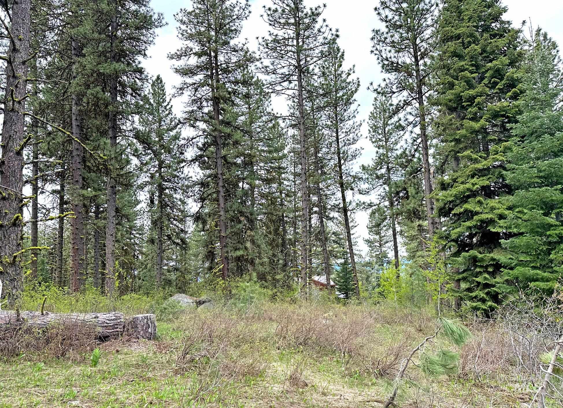 Tbd 2 Elo Road Property Photo 5