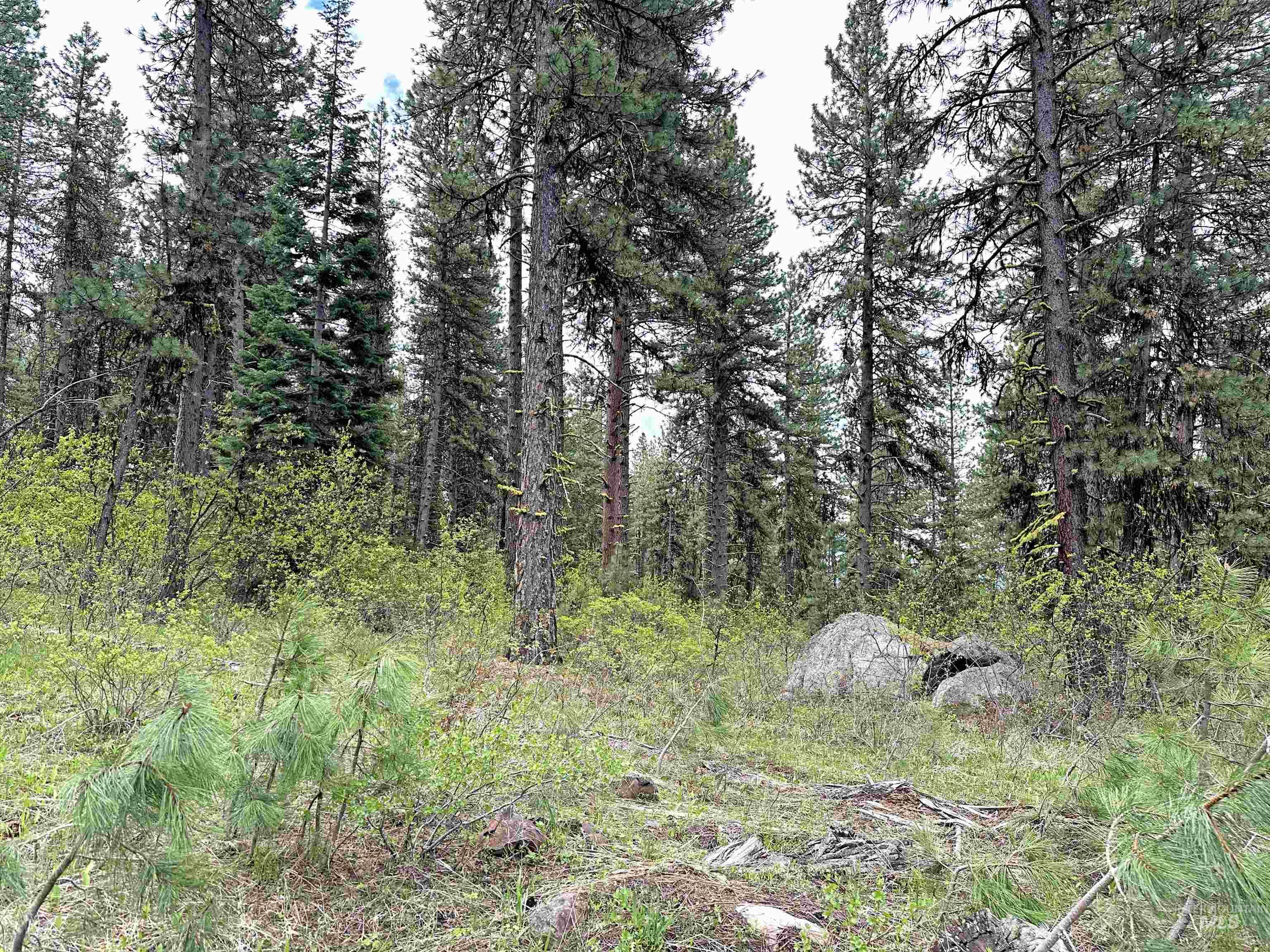 Tbd 2 Elo Road Property Photo 6