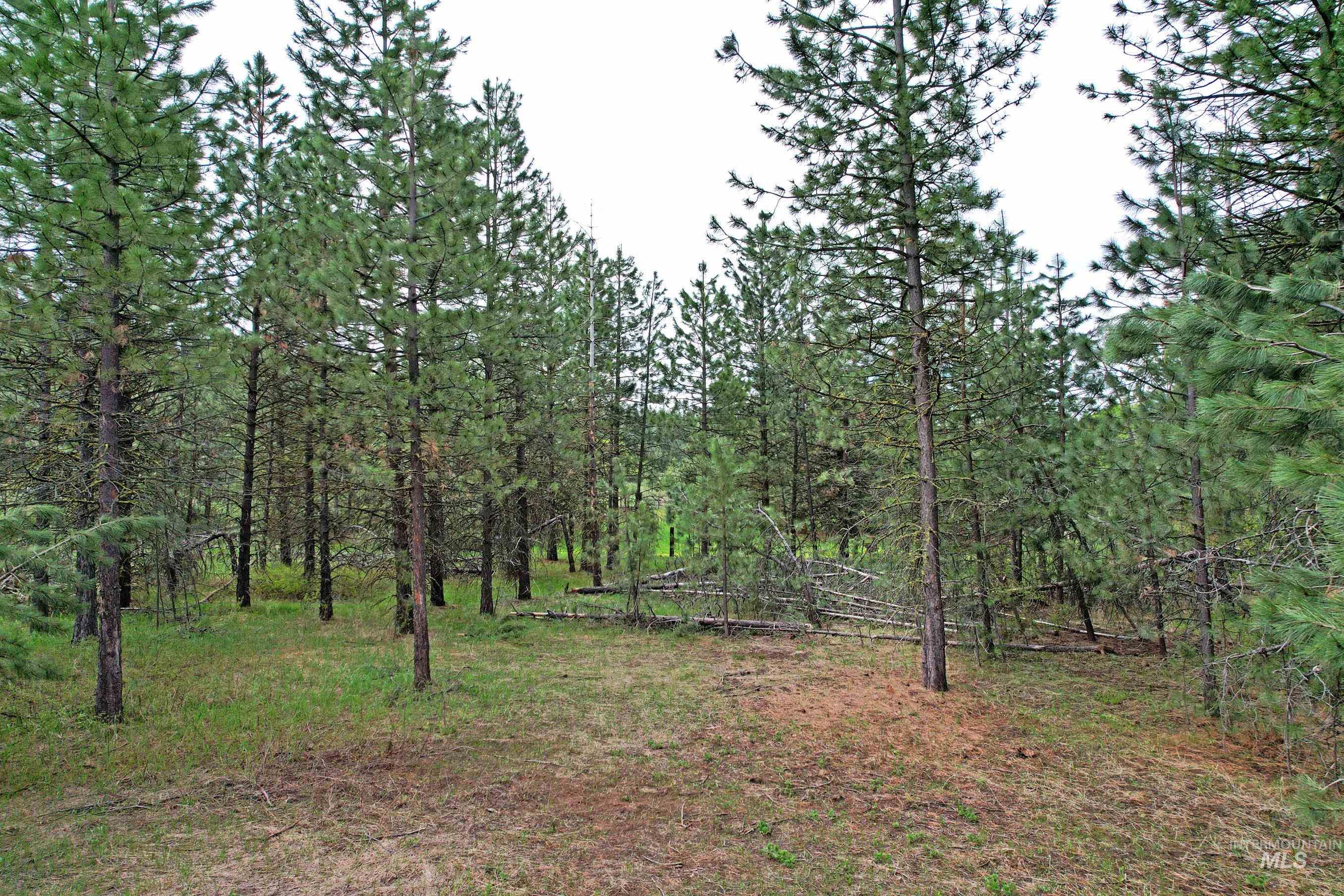 Tbd 5 Elo Road Property Photo 3