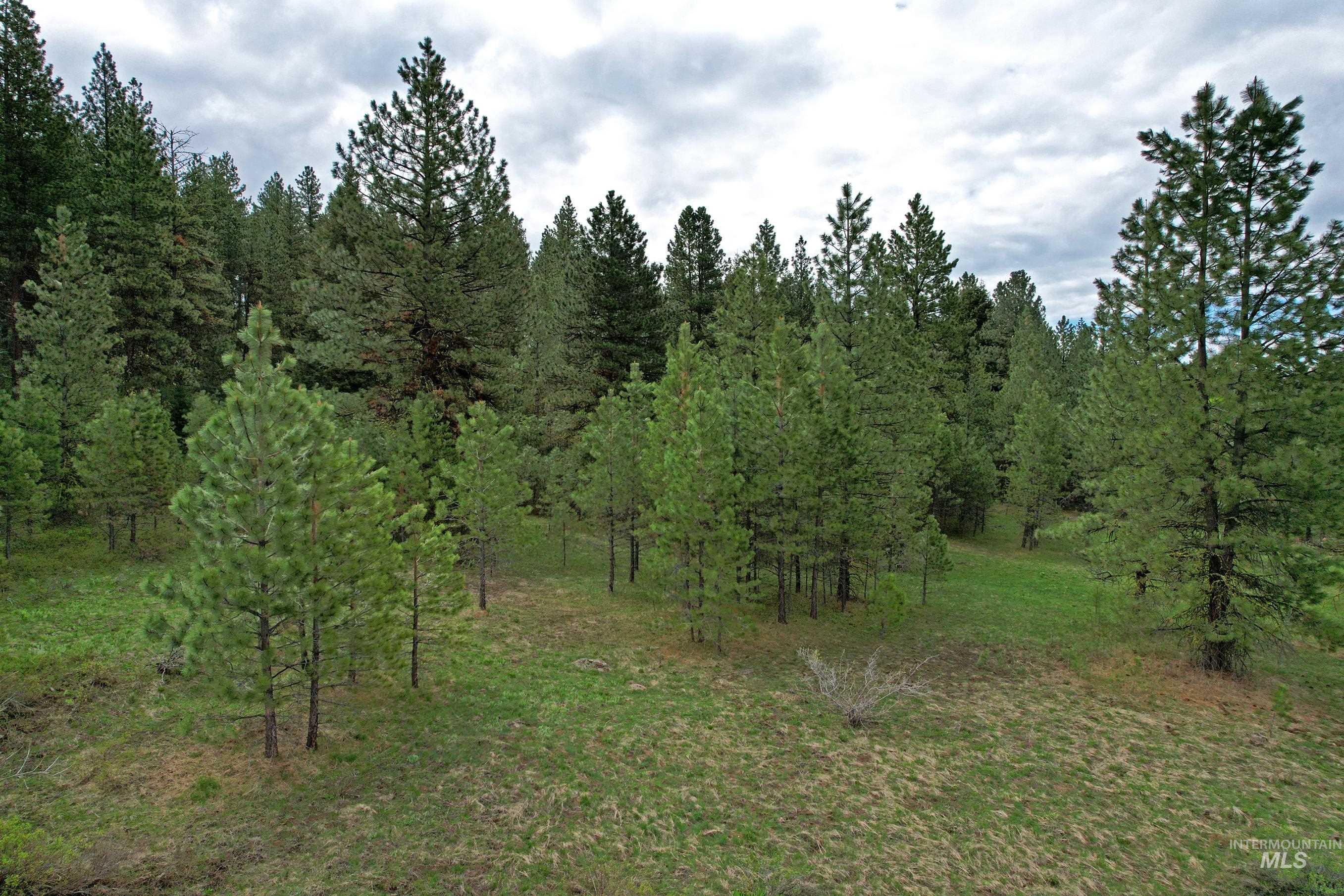 Tbd 5 Elo Road Property Photo 6