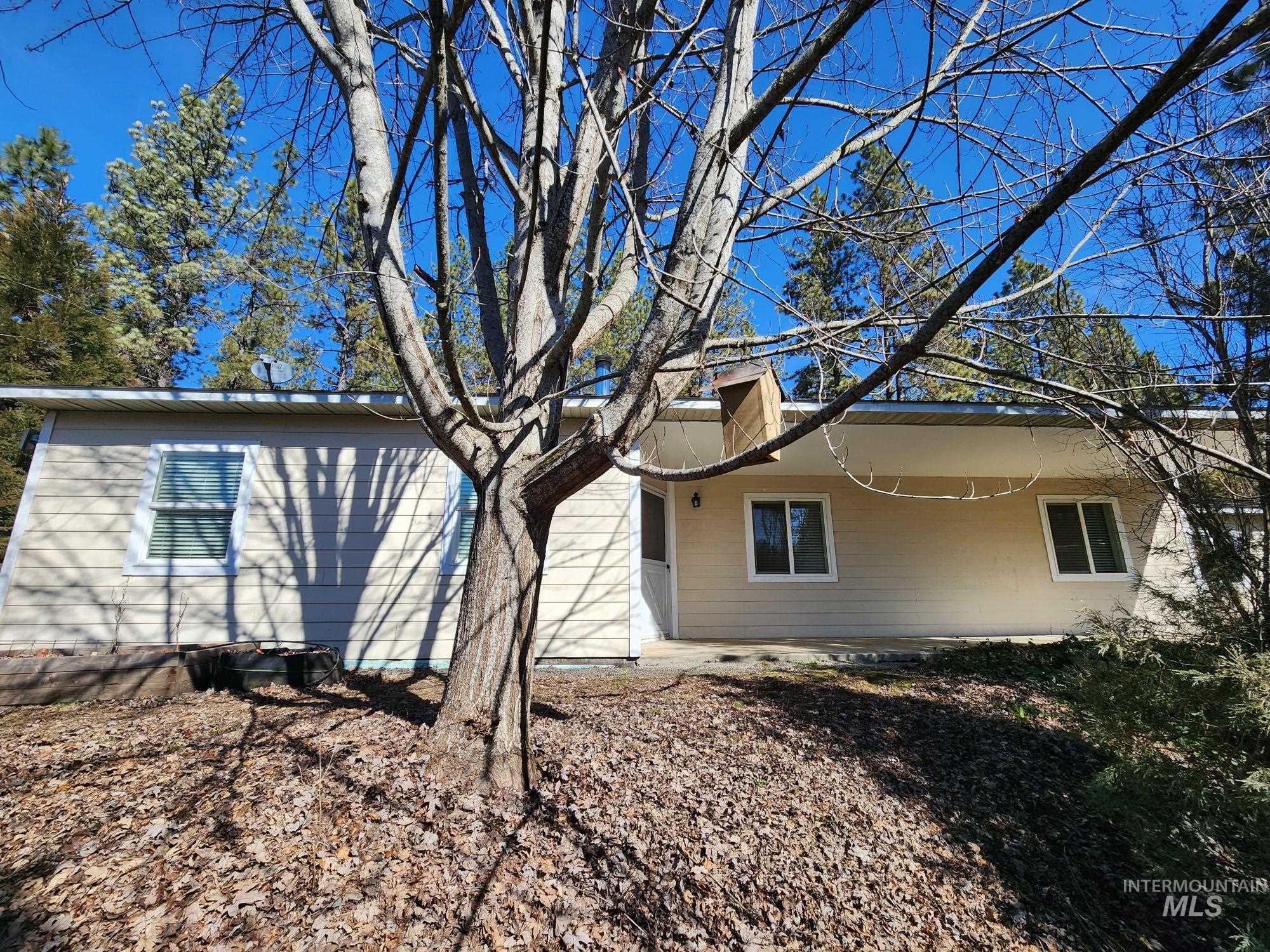 117 View Road Property Photo