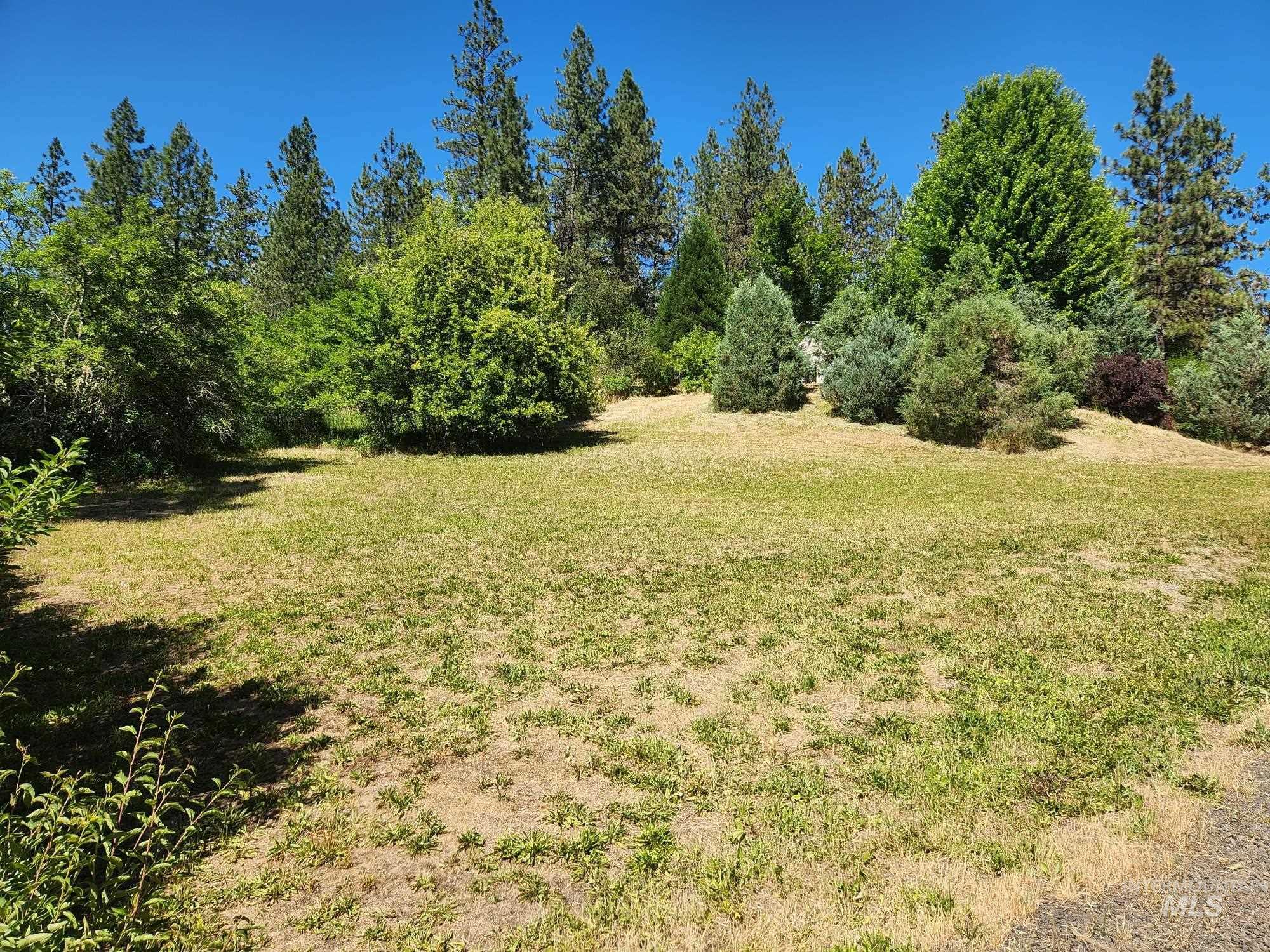 117 View Road Property Photo 3