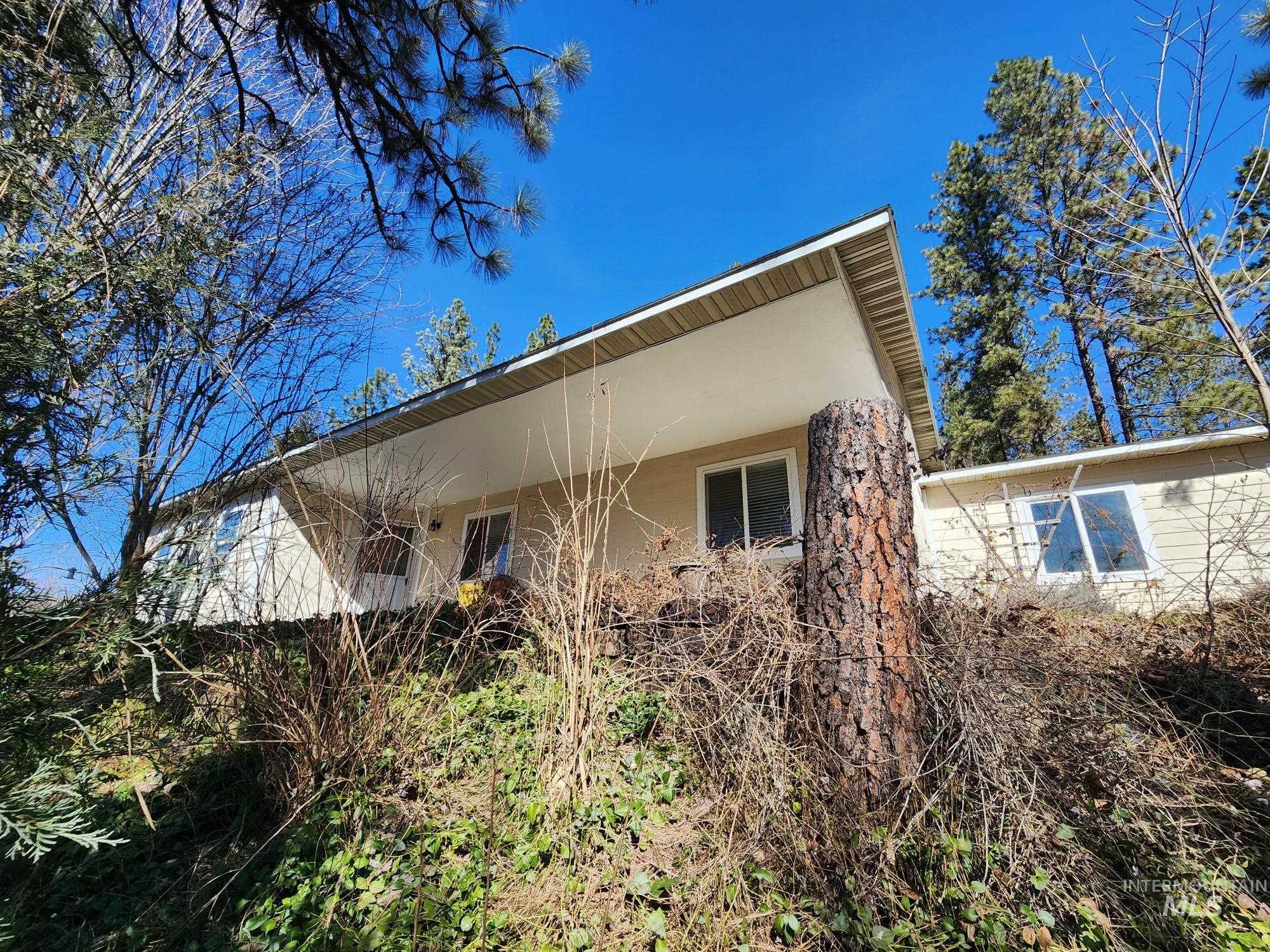 117 View Road Property Photo 39