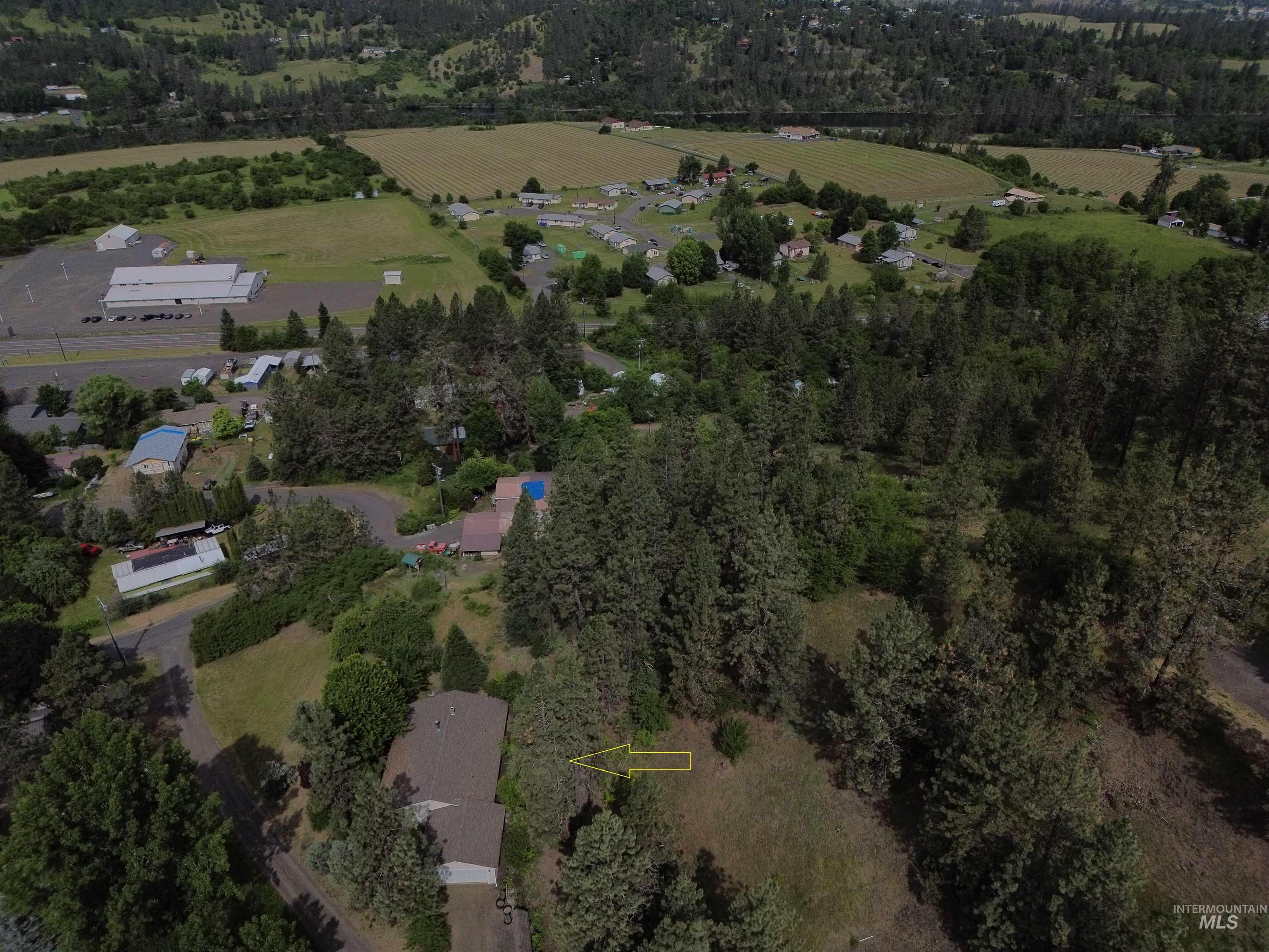 117 View Road Property Photo 40