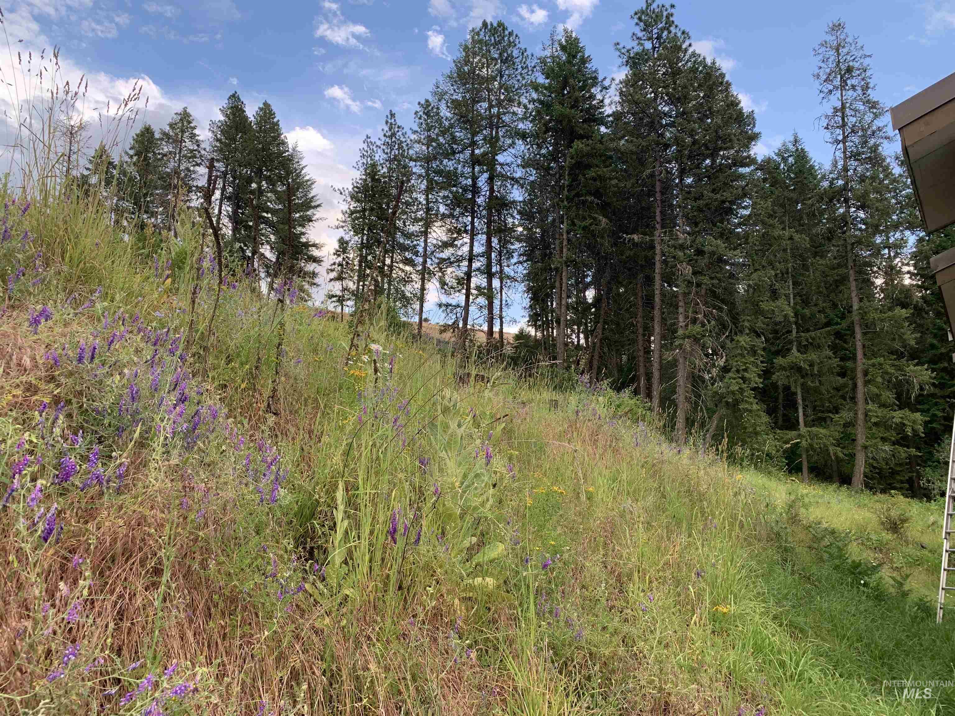 624 Clear Creek Road Property Photo 35