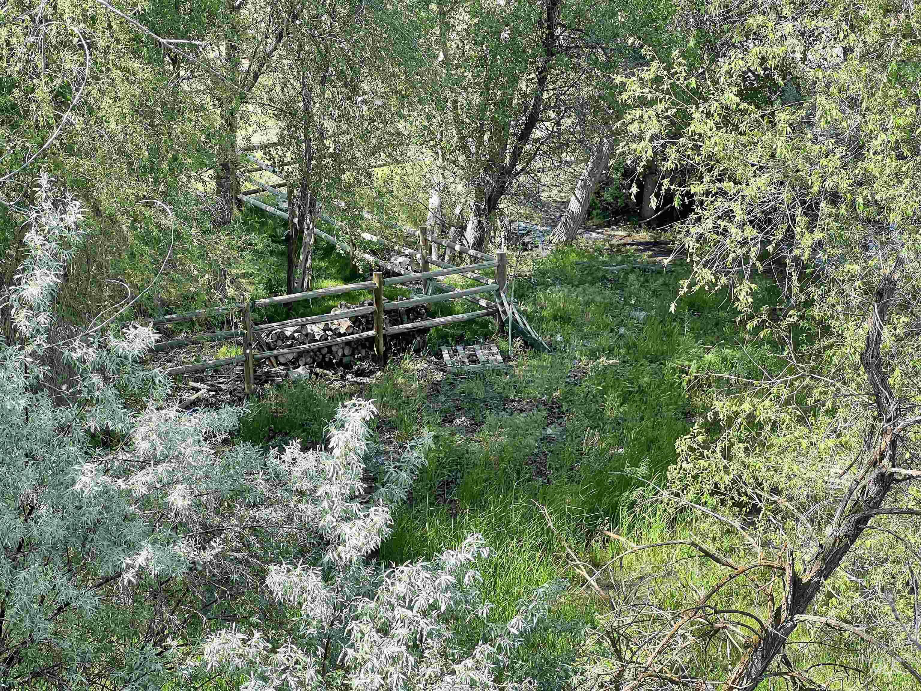 830 Snively Gulch Rd Property Photo 3