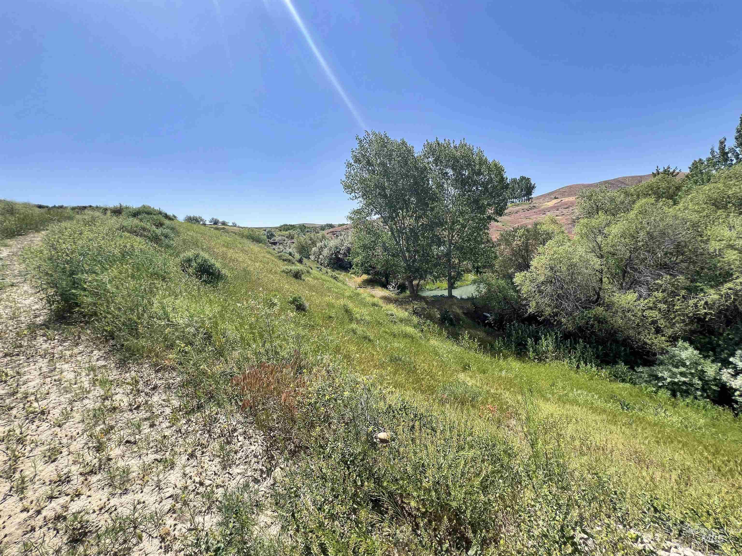 830 Snively Gulch Rd Property Photo 6