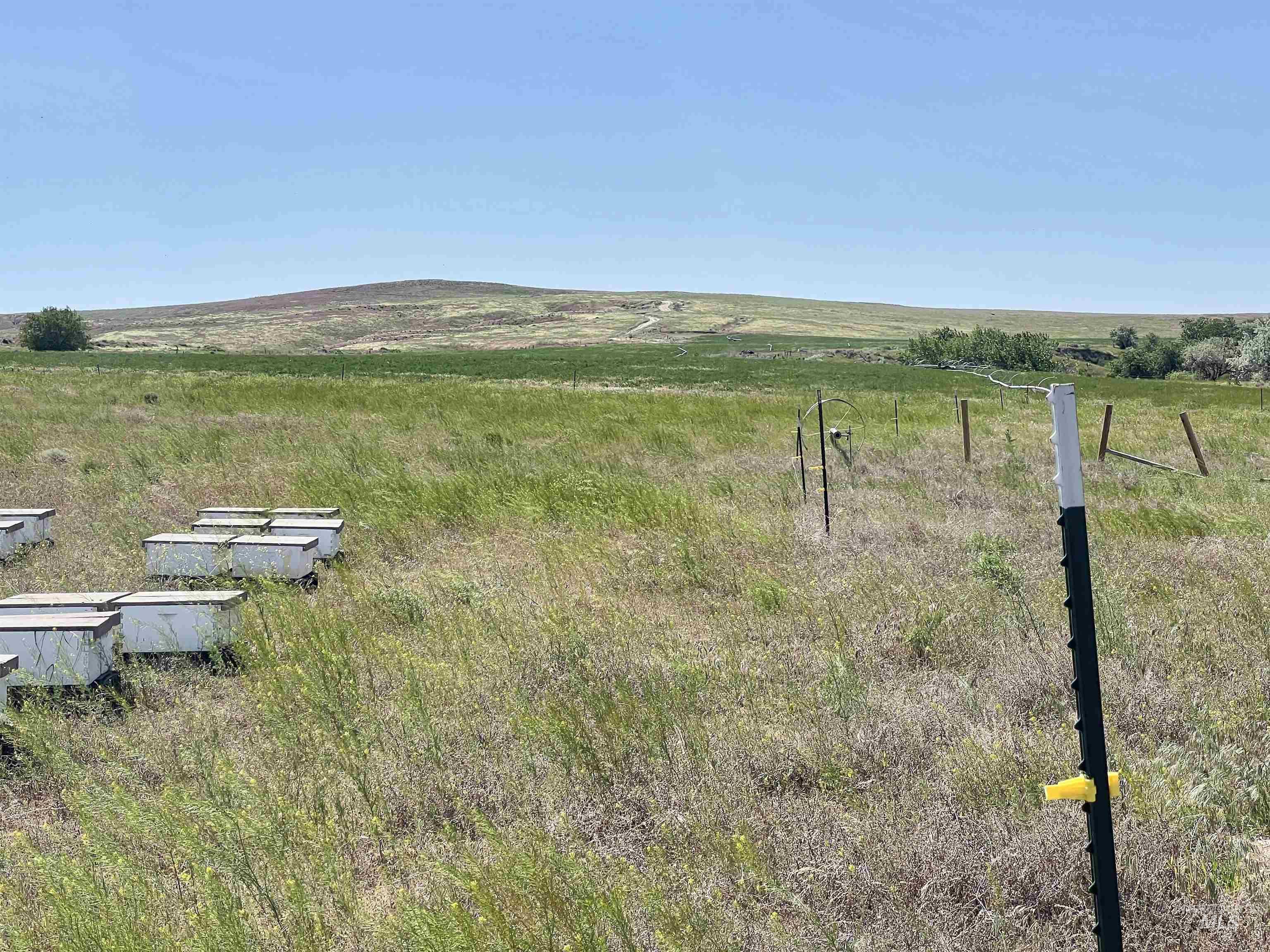 830 Snively Gulch Rd Property Photo 7