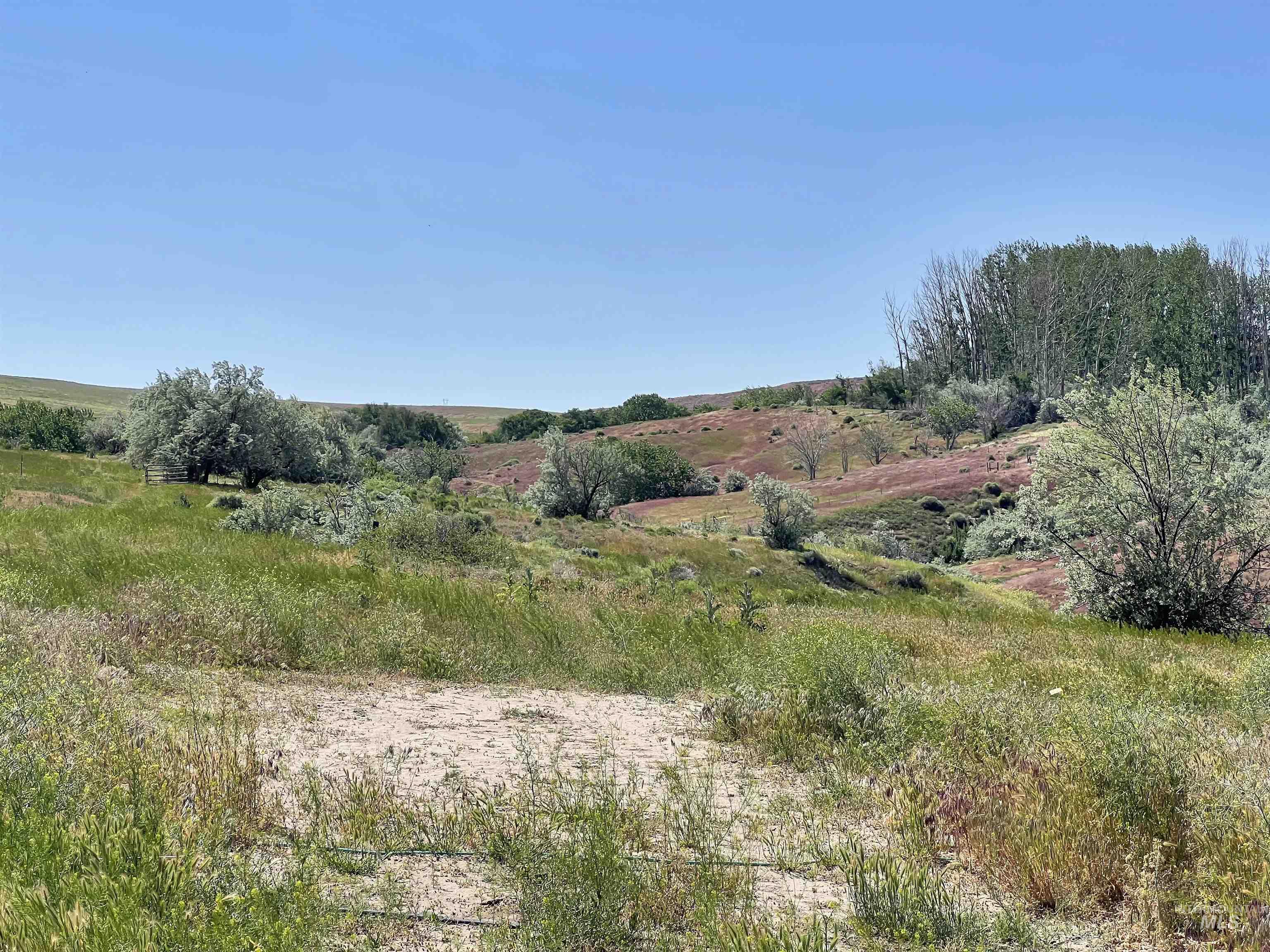 830 Snively Gulch Rd Property Photo 10