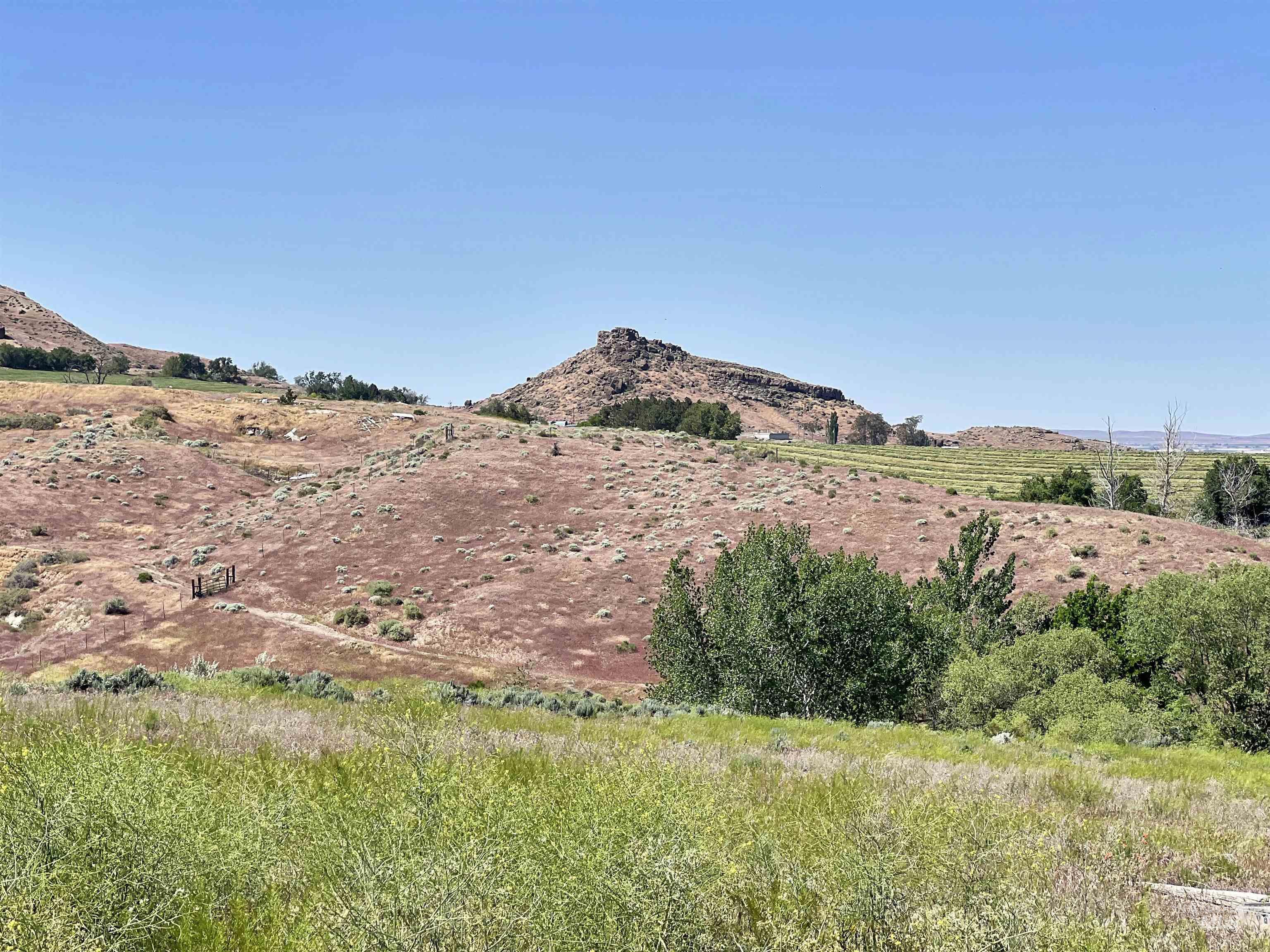 830 Snively Gulch Rd Property Photo 21