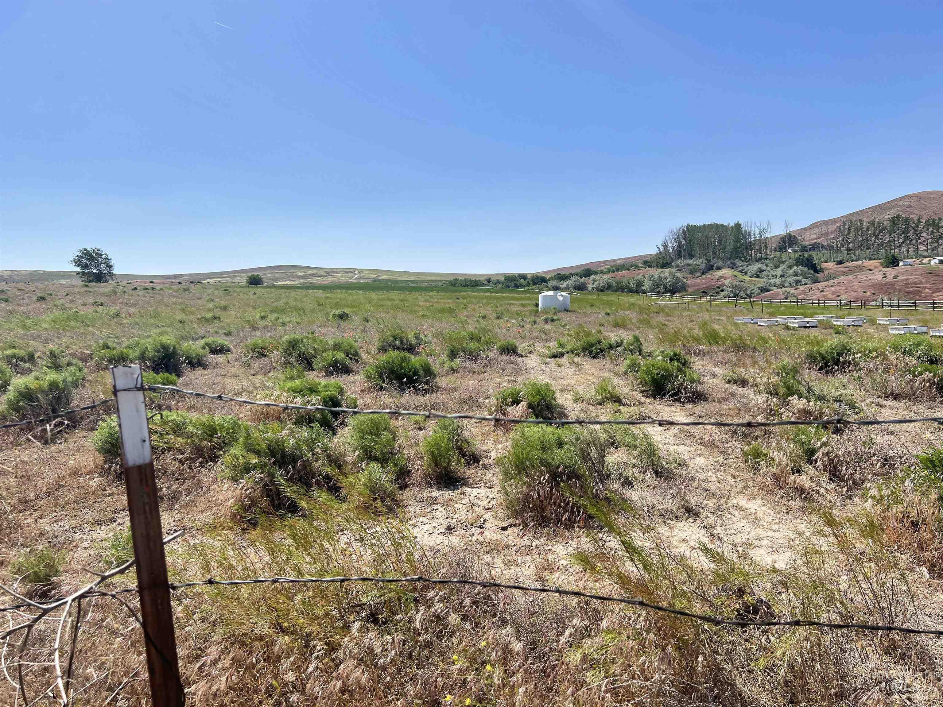 830 Snively Gulch Rd Property Photo 27