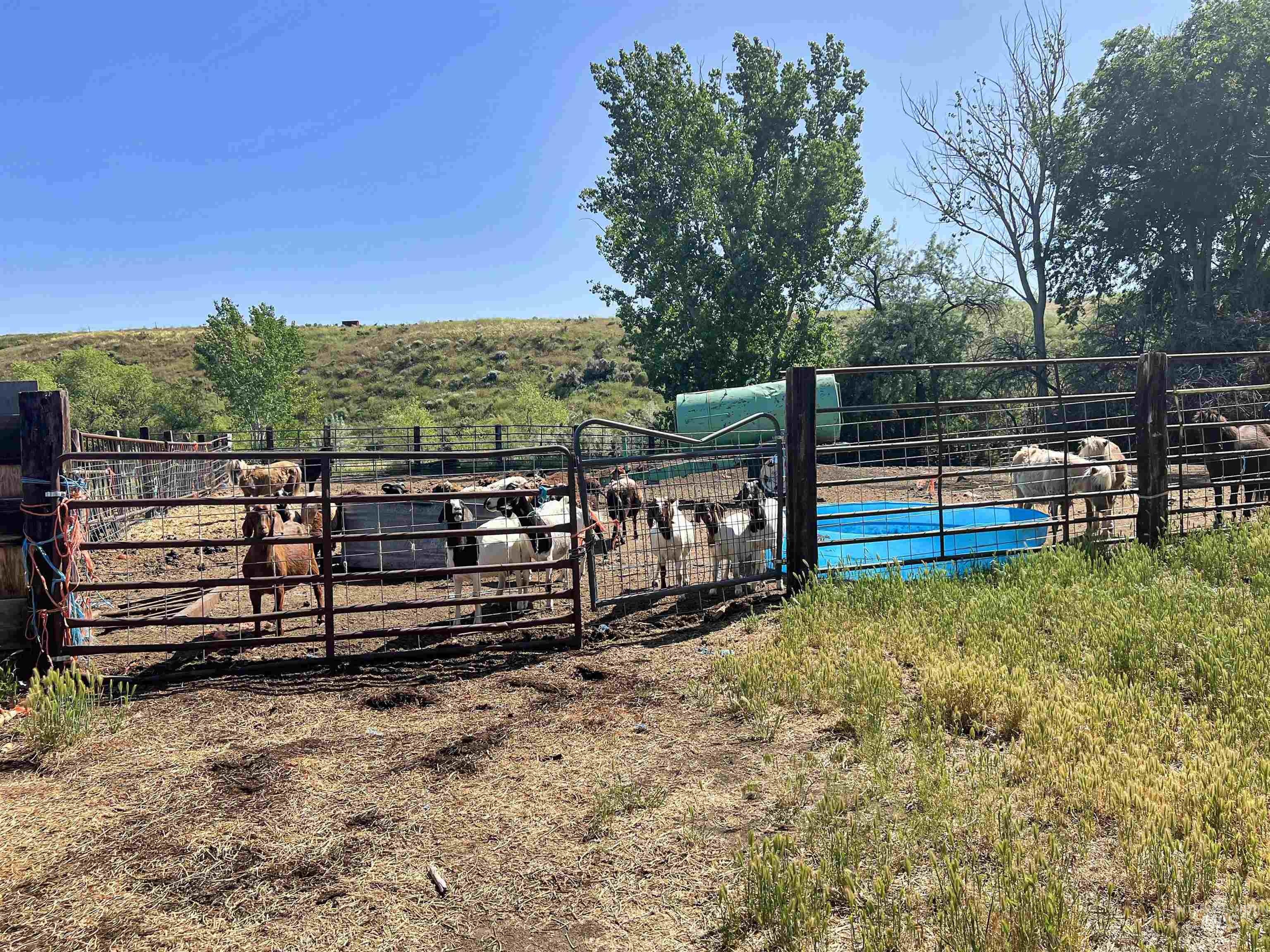 830 Snively Gulch Rd Property Photo 33