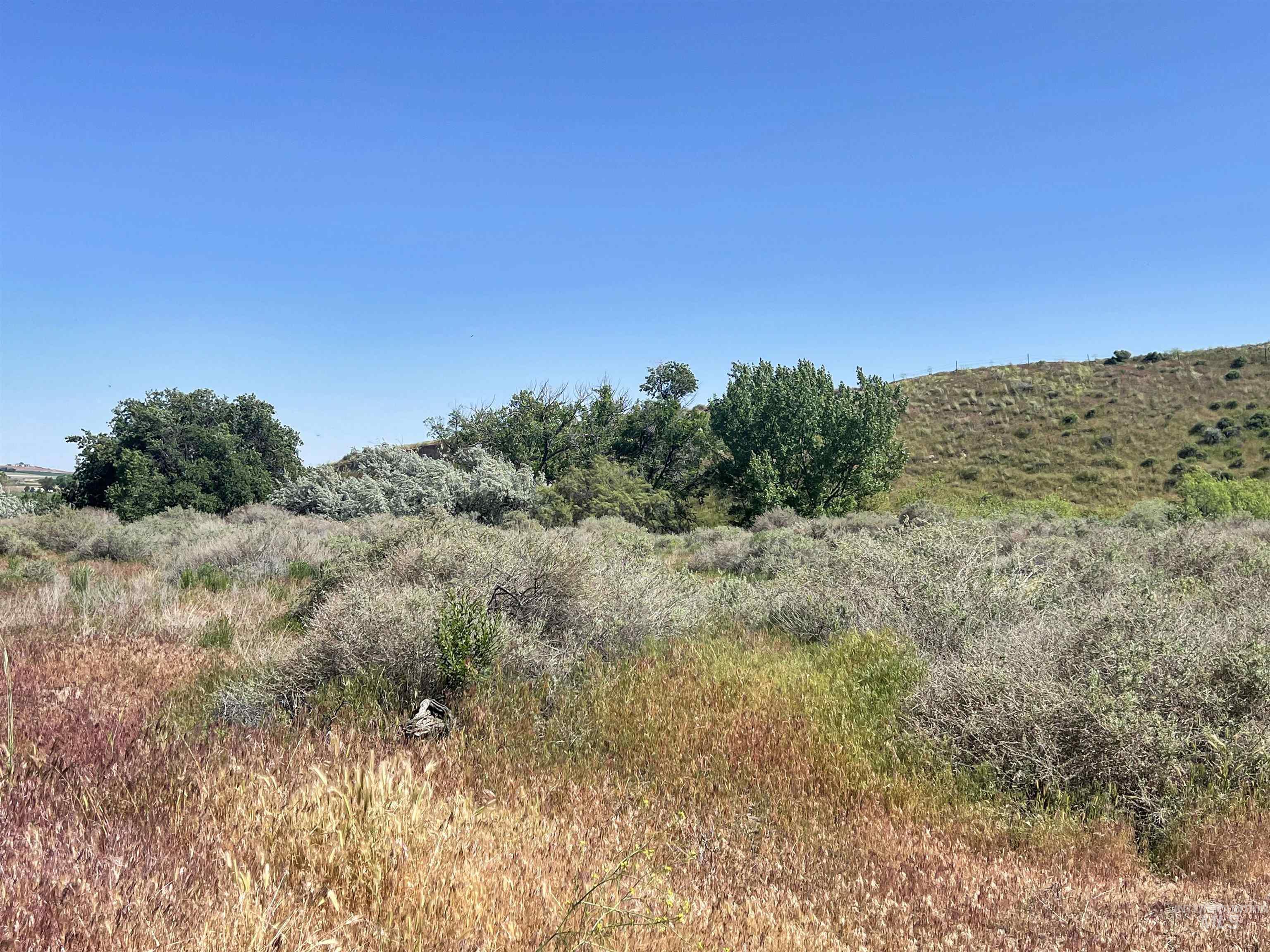 830 Snively Gulch Rd Property Photo 34