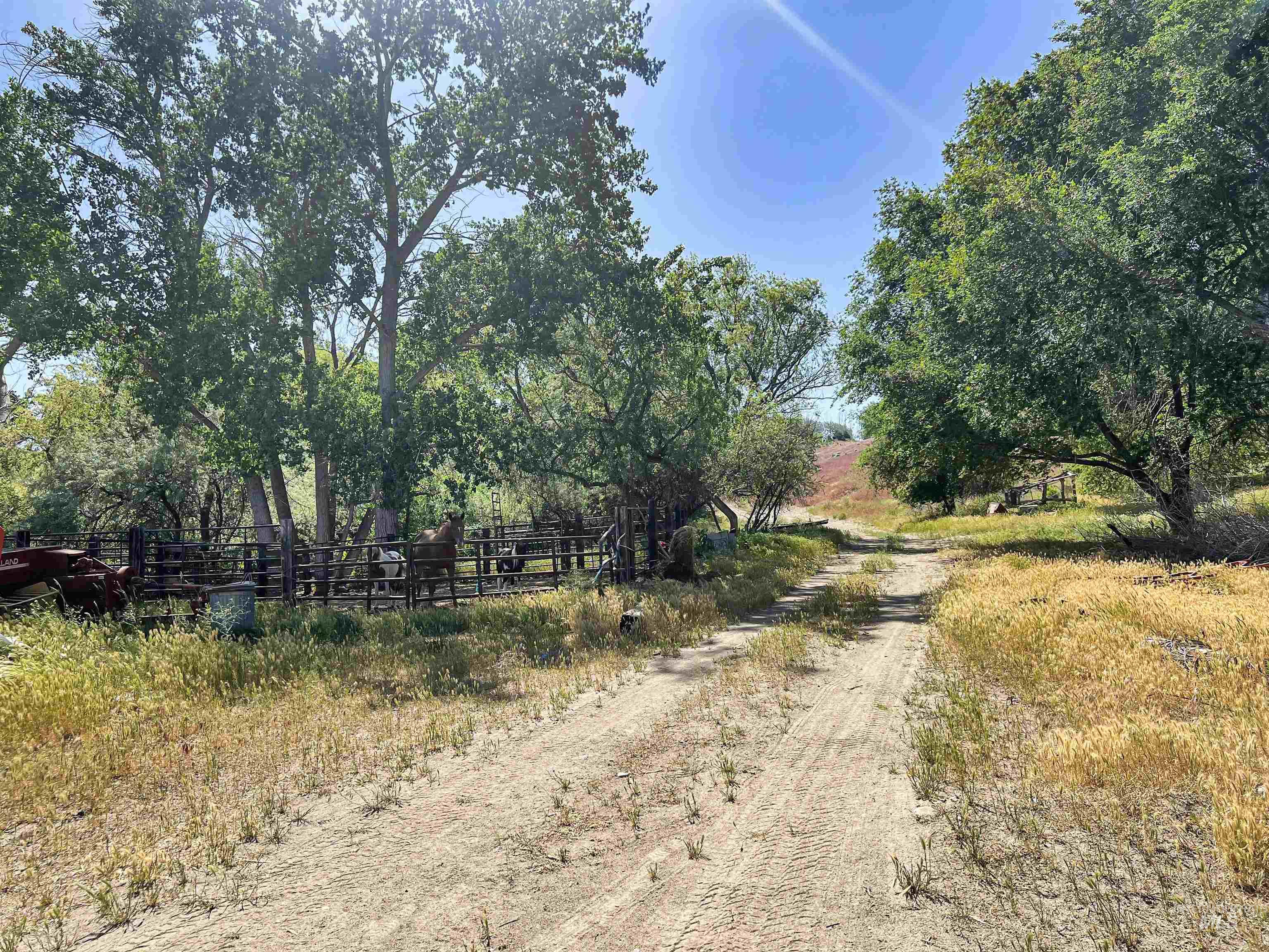 830 Snively Gulch Rd Property Photo 36