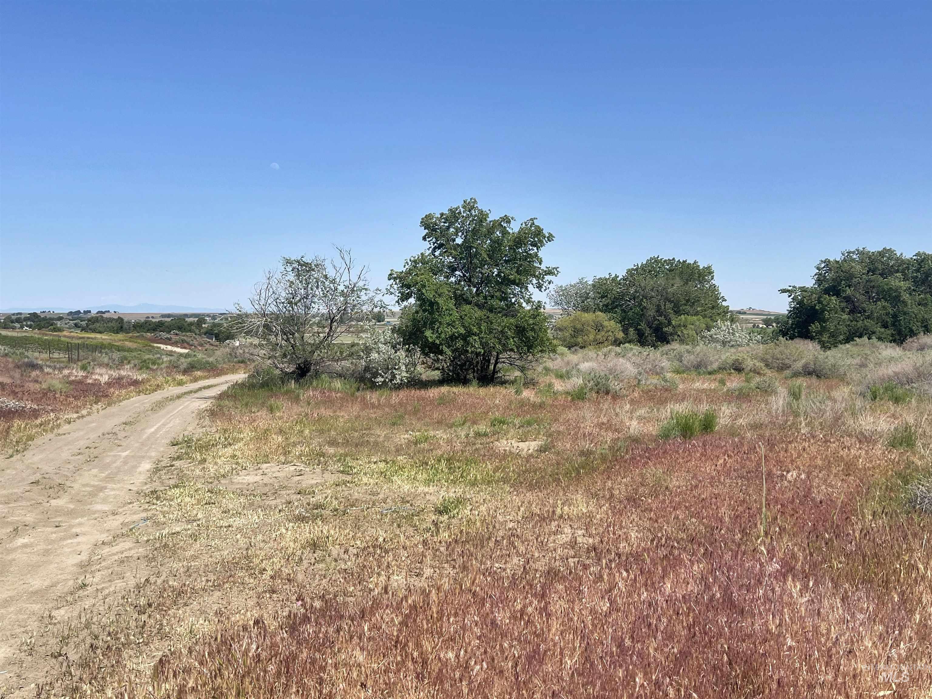 830 Snively Gulch Rd Property Photo 37