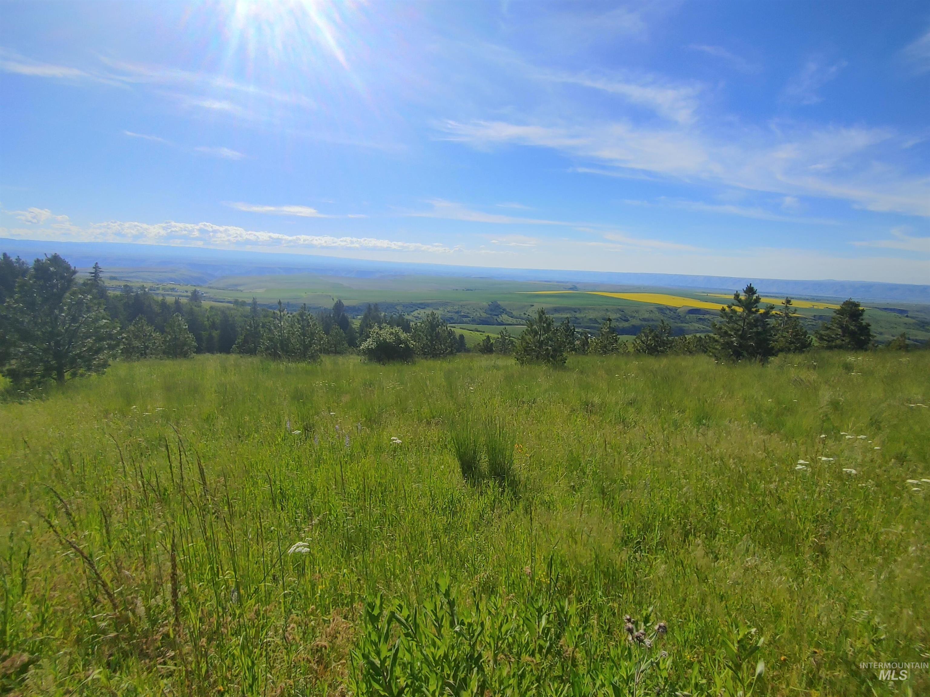 Lot B Forsman Rd Property Photo 8
