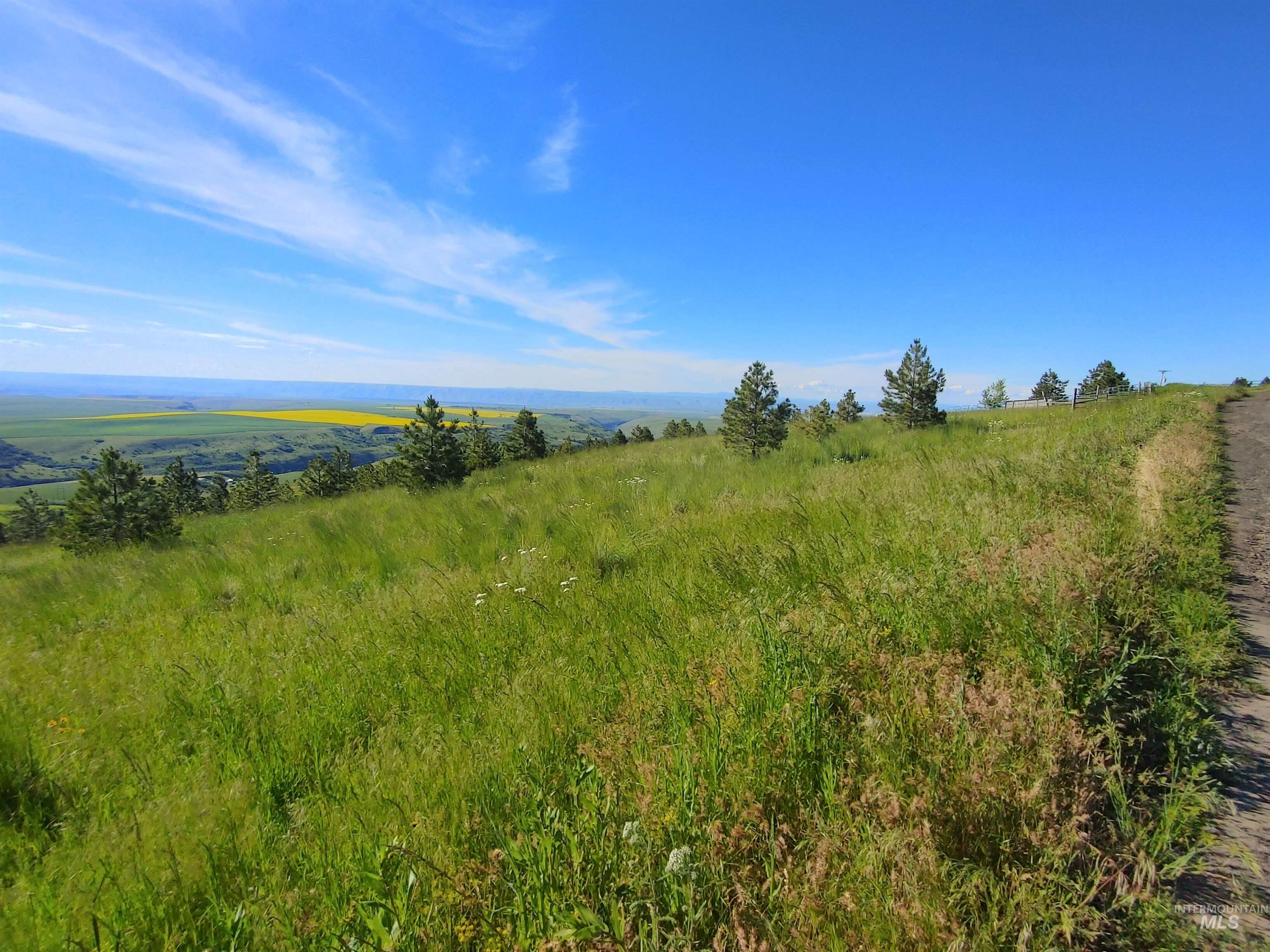 Lot B Forsman Rd Property Photo 9