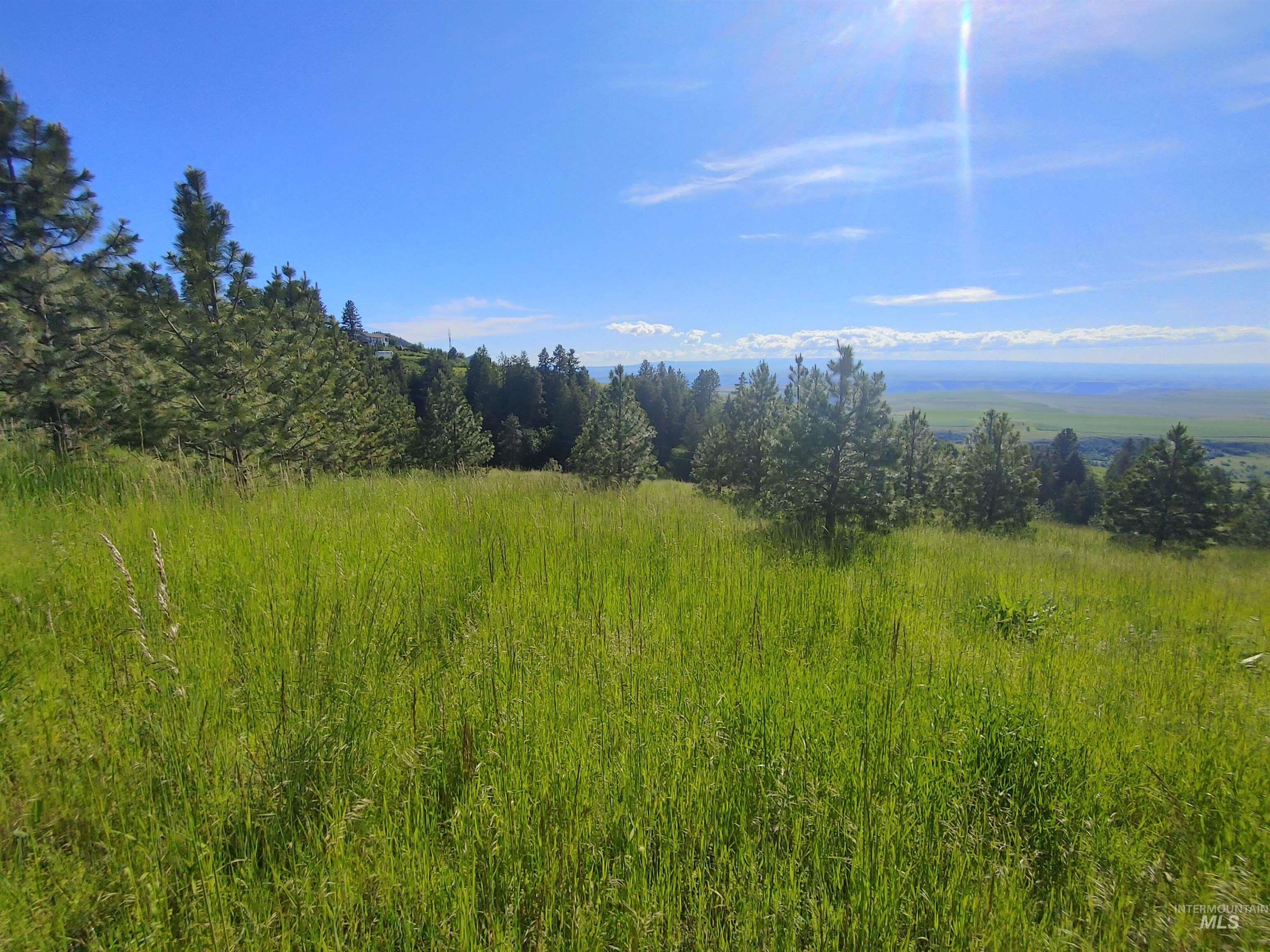 Lot B Forsman Rd Property Photo 13