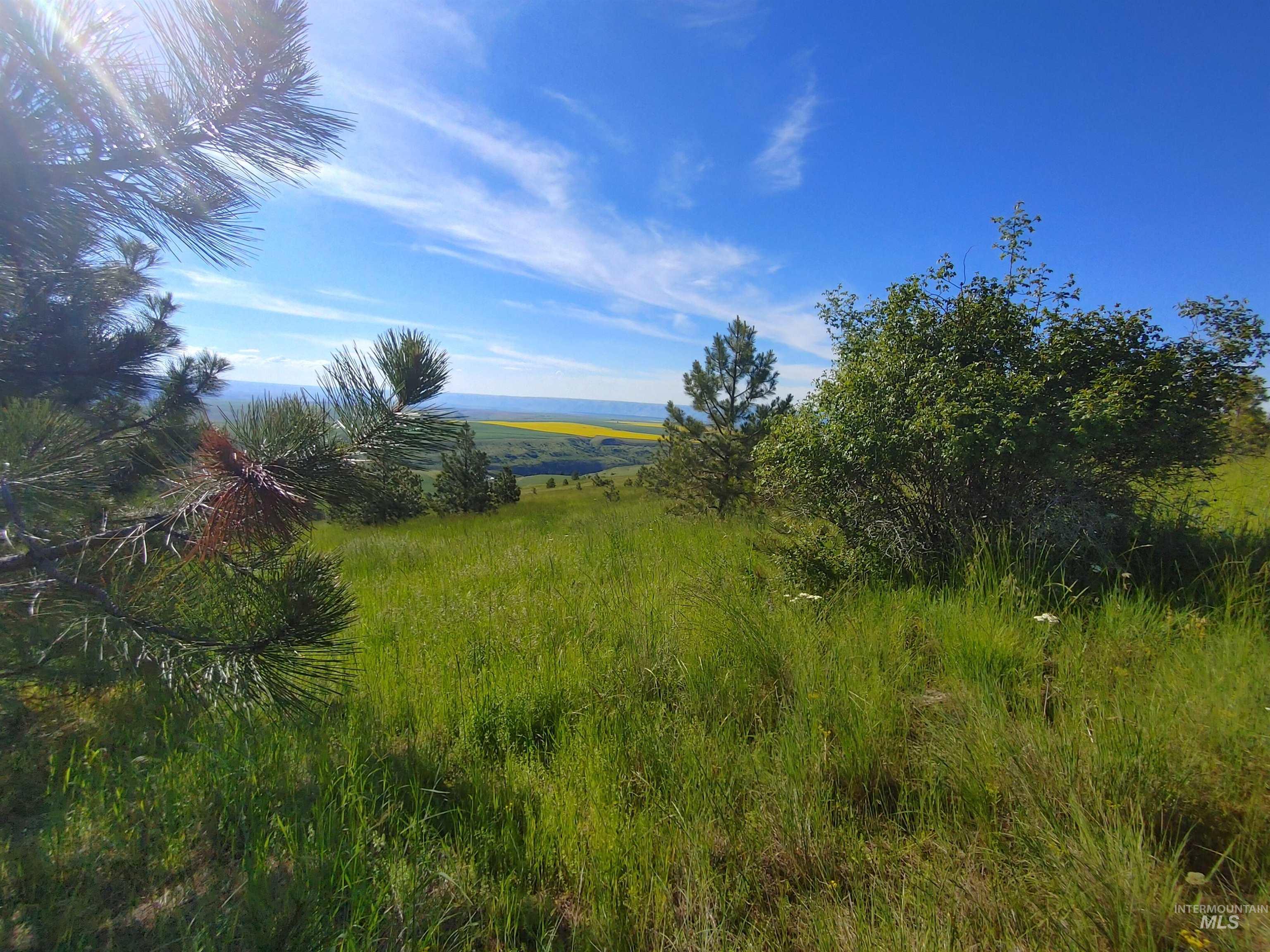 Lot B Forsman Rd Property Photo 14