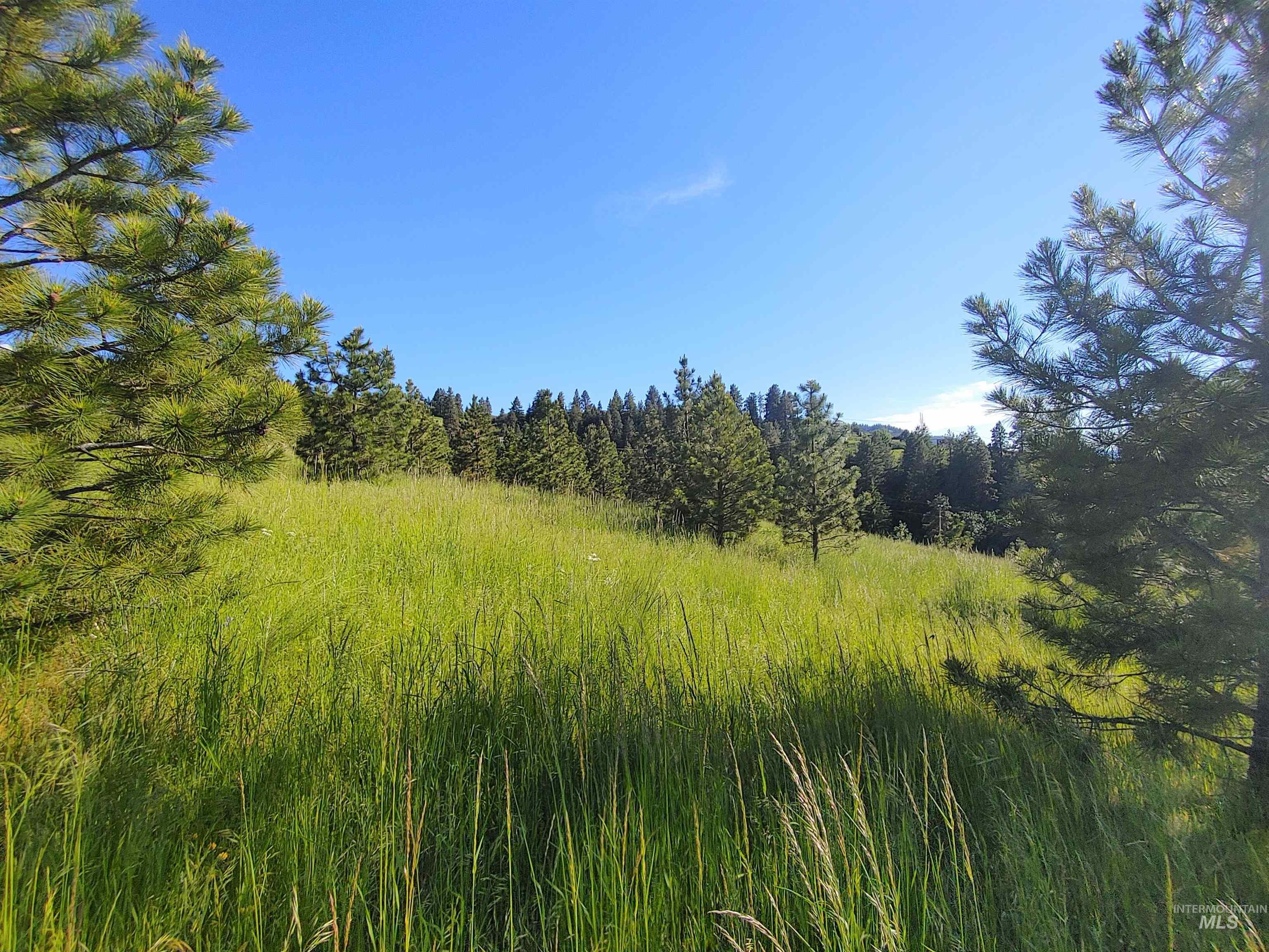 Lot B Forsman Rd Property Photo 15
