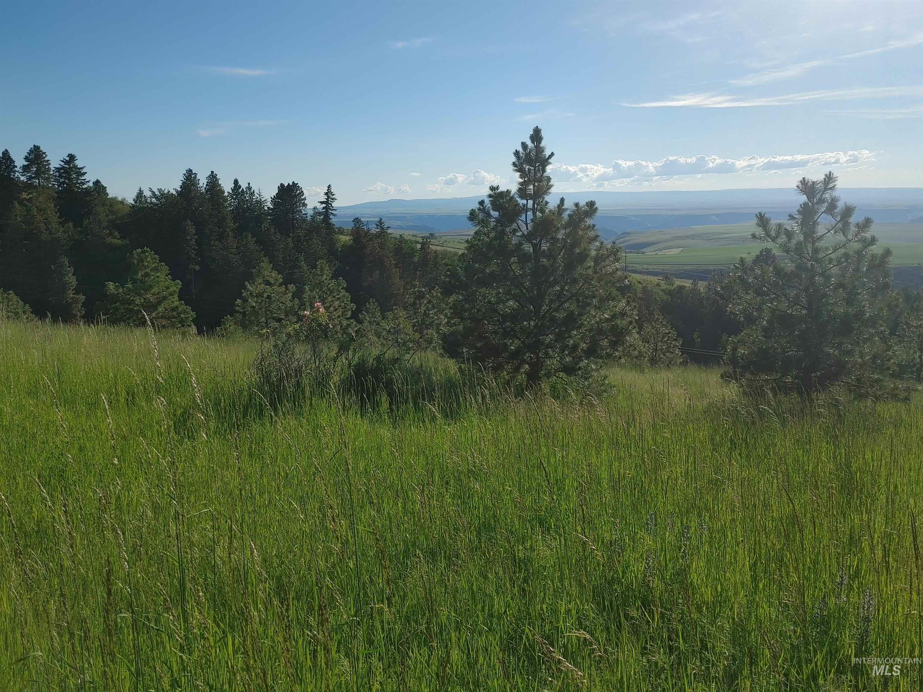 Lot B Forsman Rd Property Photo 17
