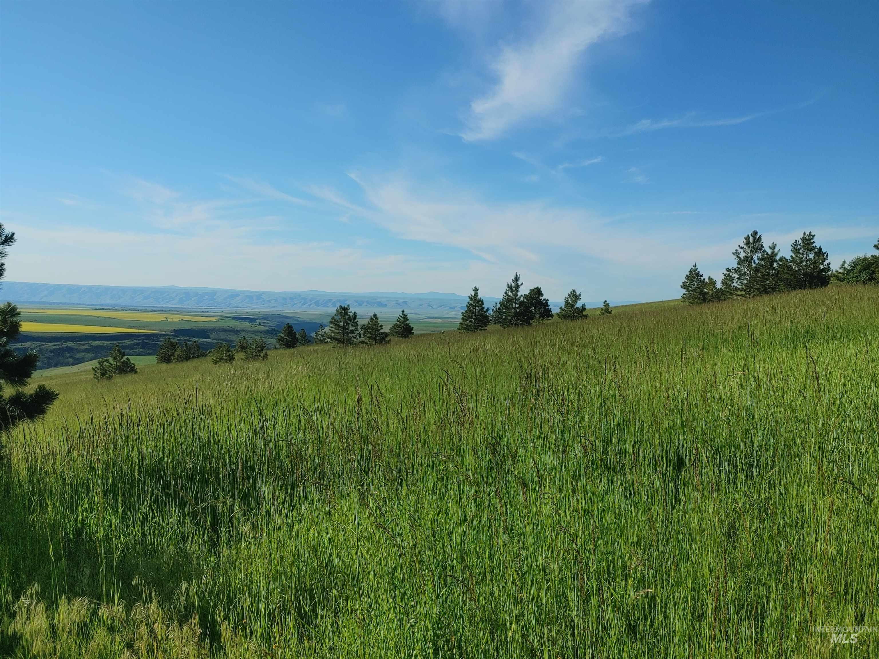 Lot B Forsman Rd Property Photo 19
