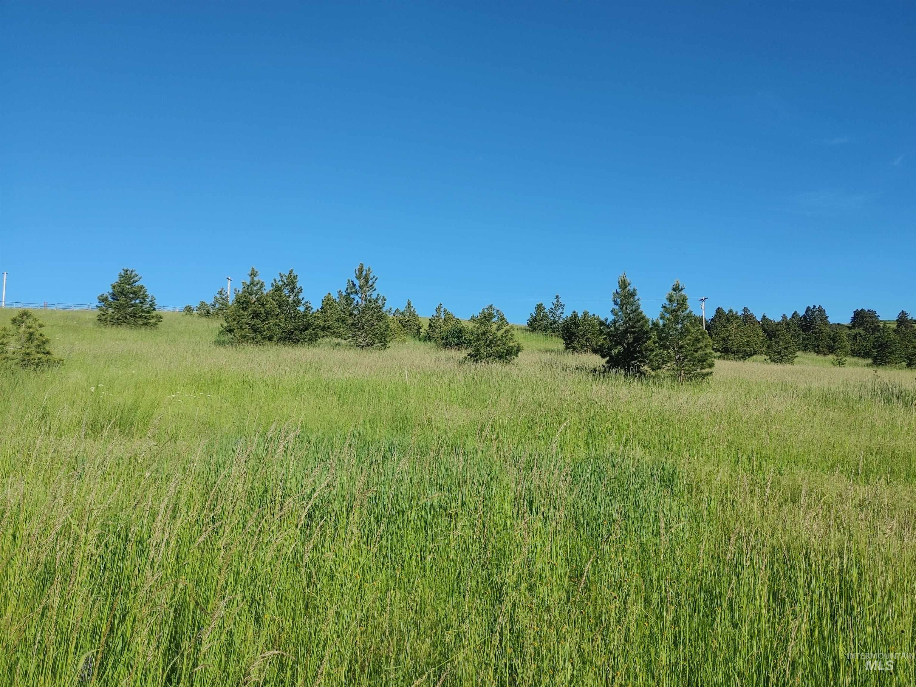 Lot B Forsman Rd Property Photo 26