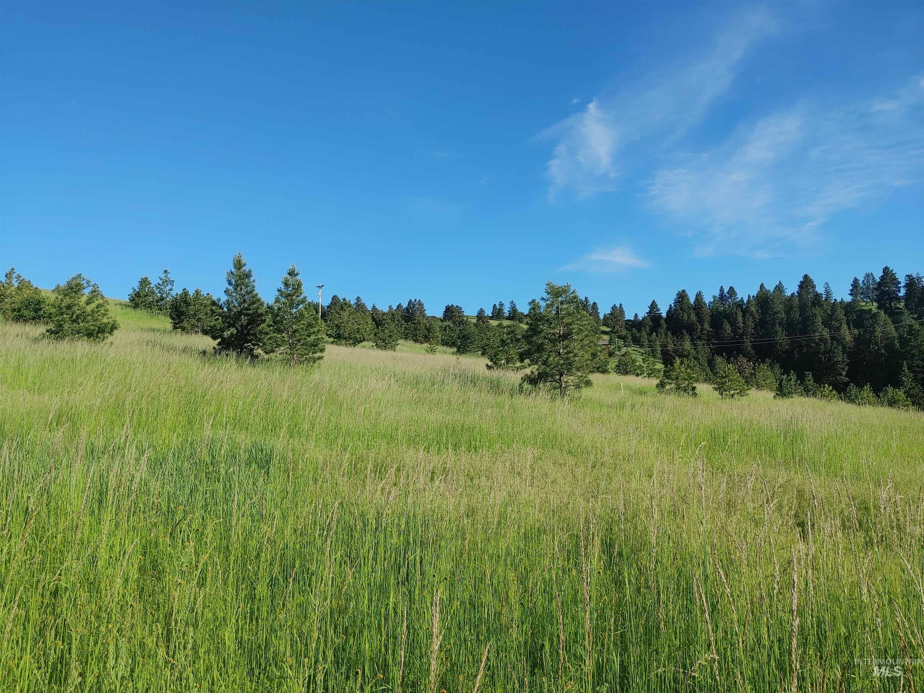 Lot B Forsman Rd Property Photo 27