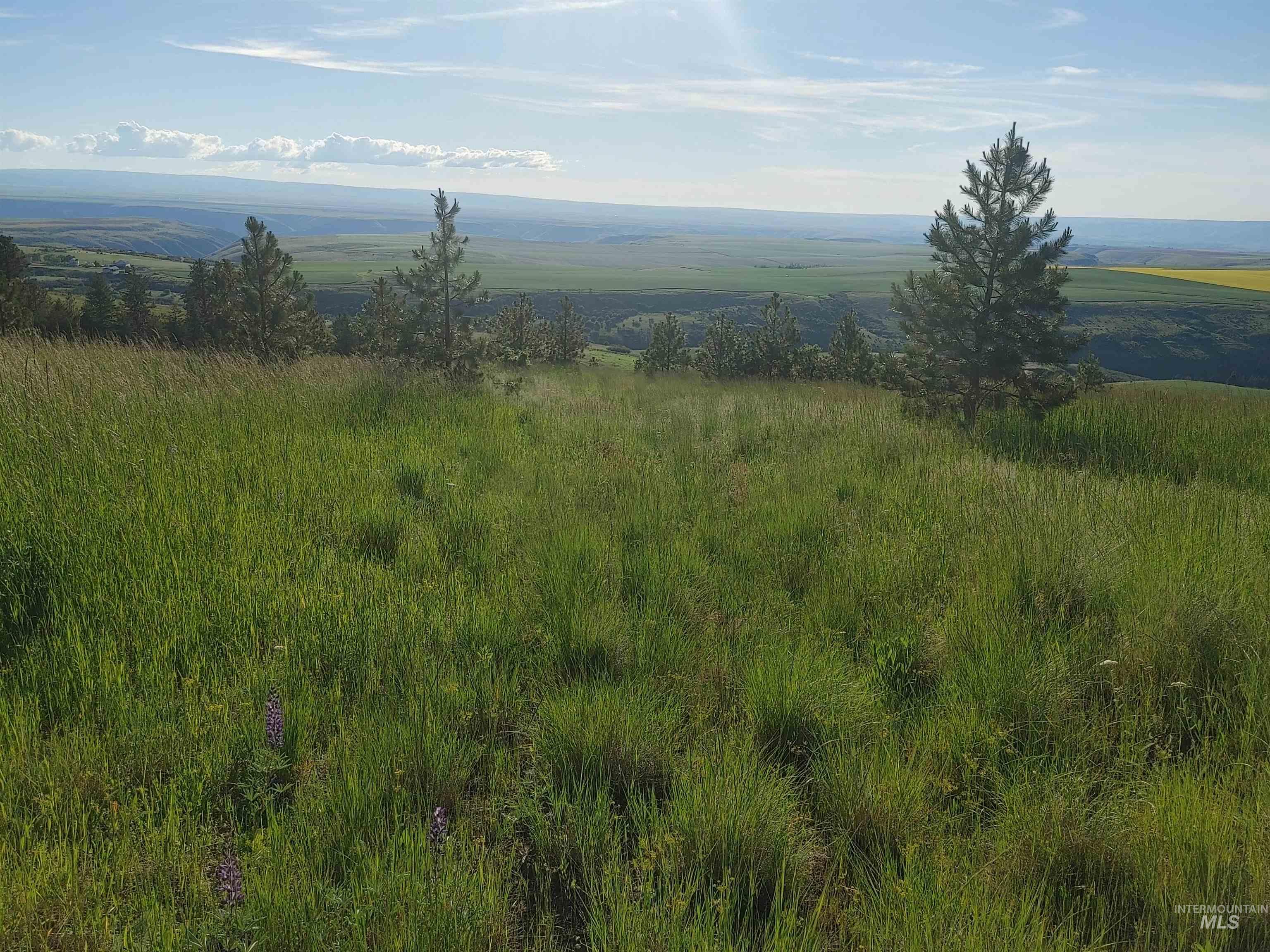 Lot B Forsman Rd Property Photo 31