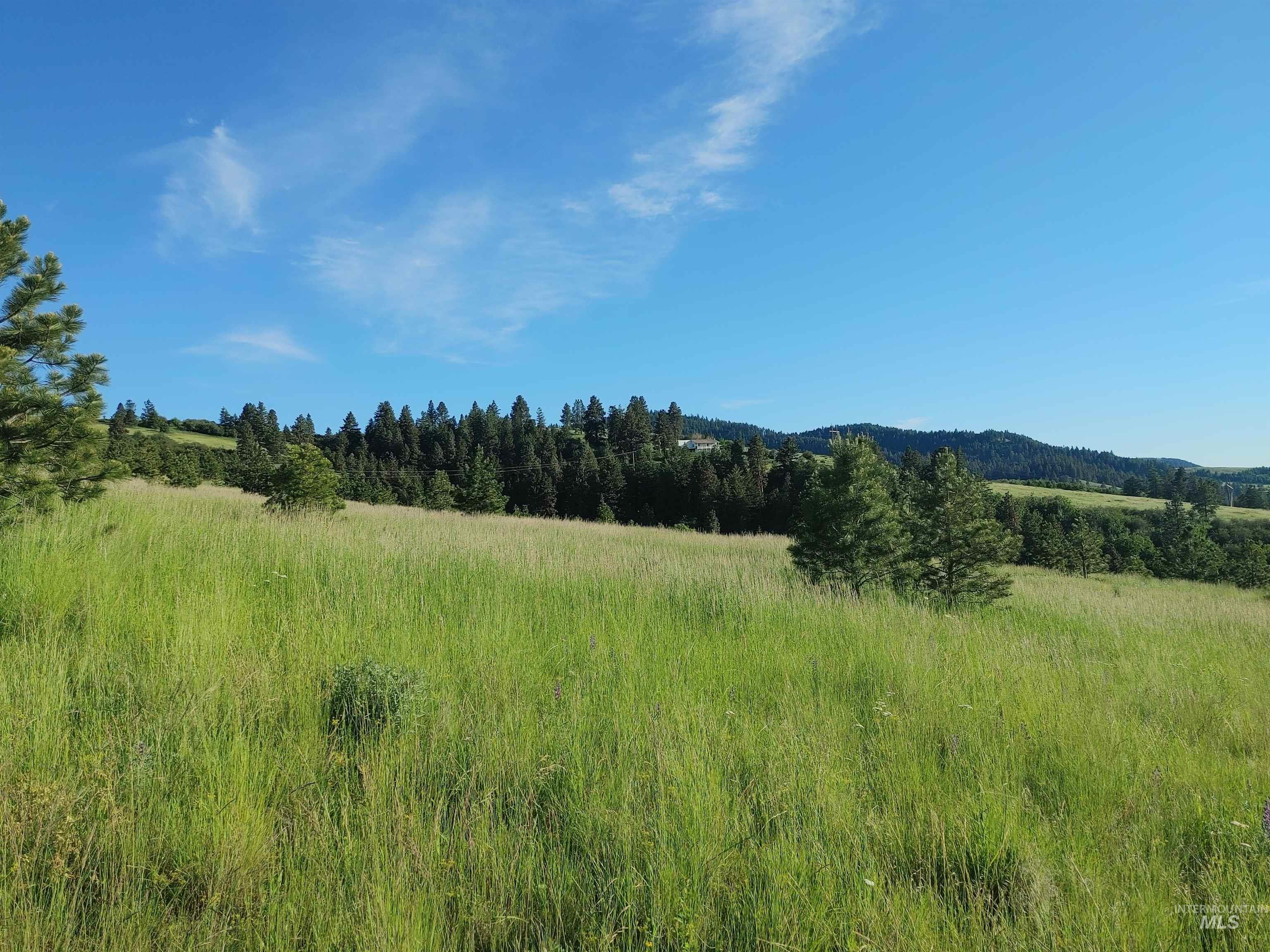 Lot B Forsman Rd Property Photo 35