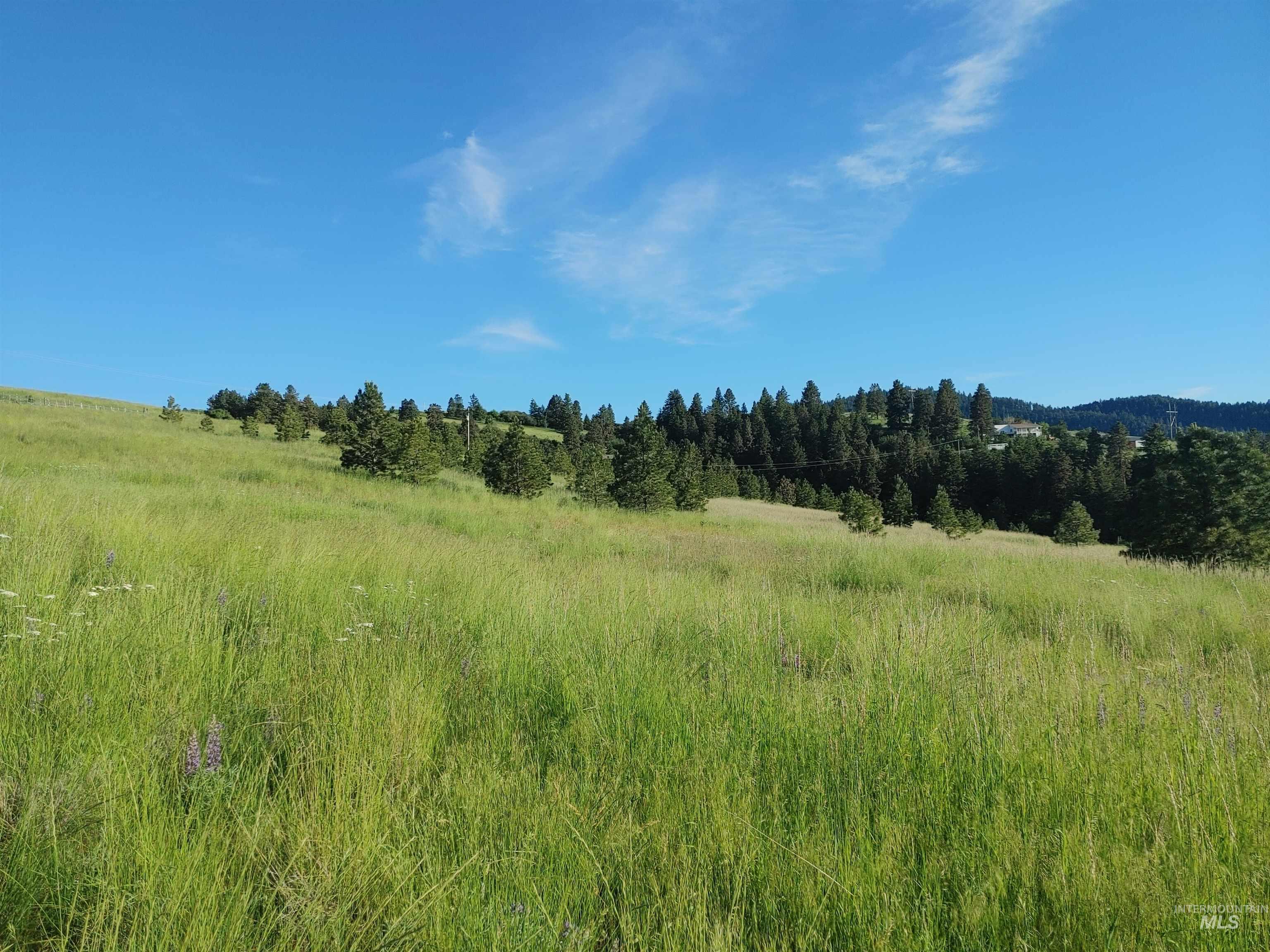 Lot B Forsman Rd Property Photo 36