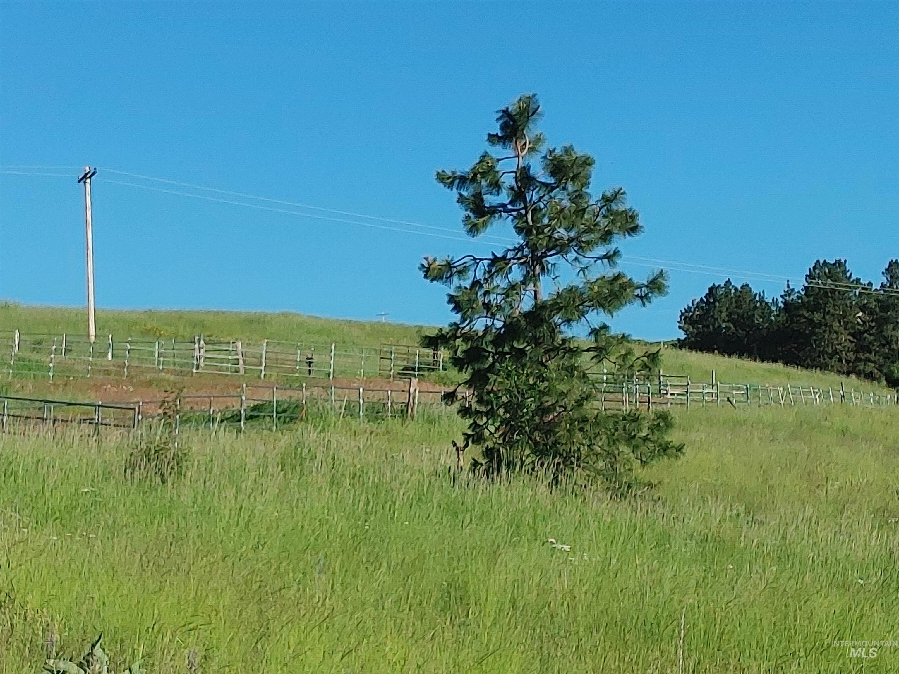 Lot B Forsman Rd Property Photo 37