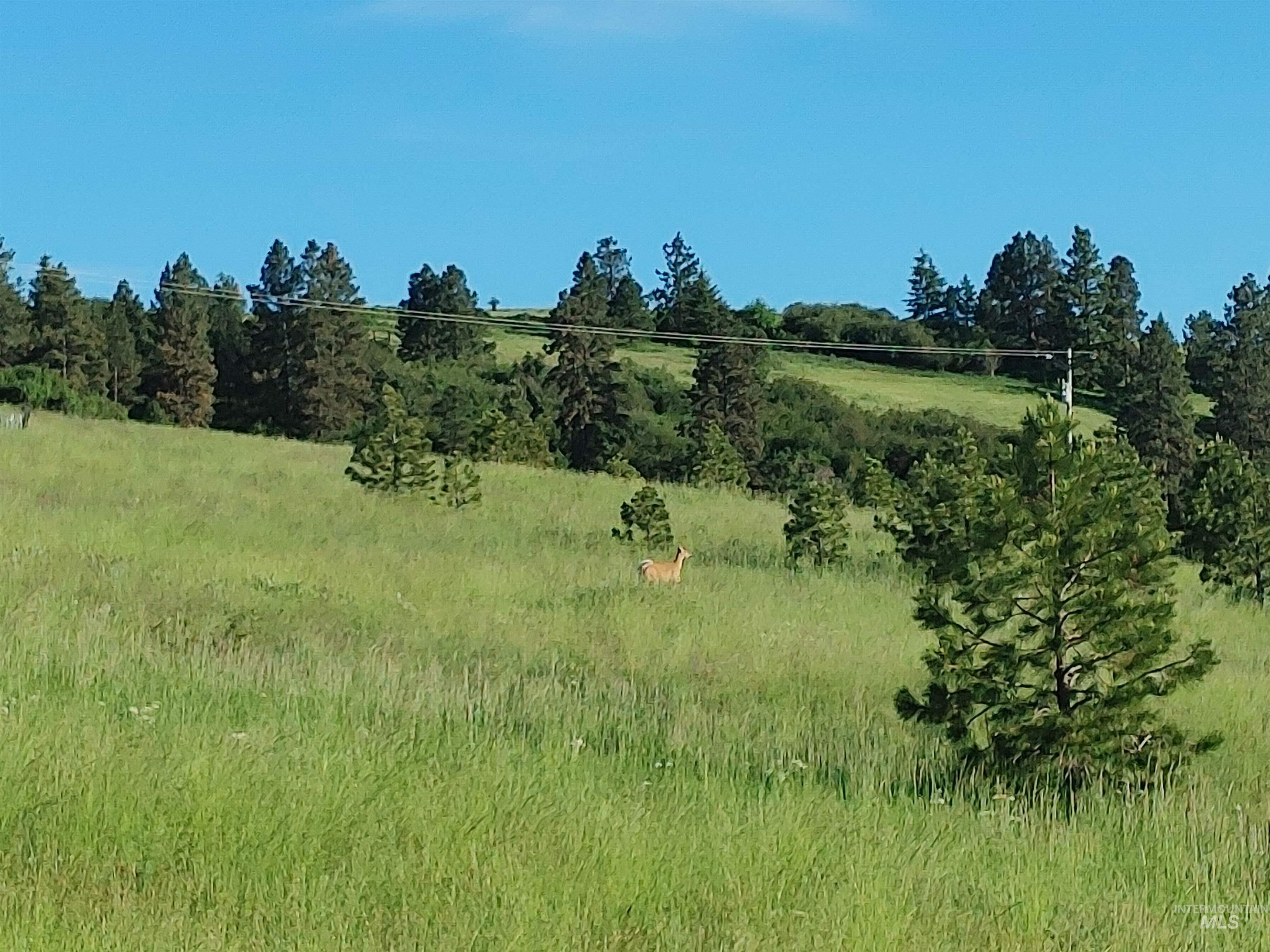 Lot B Forsman Rd Property Photo 39