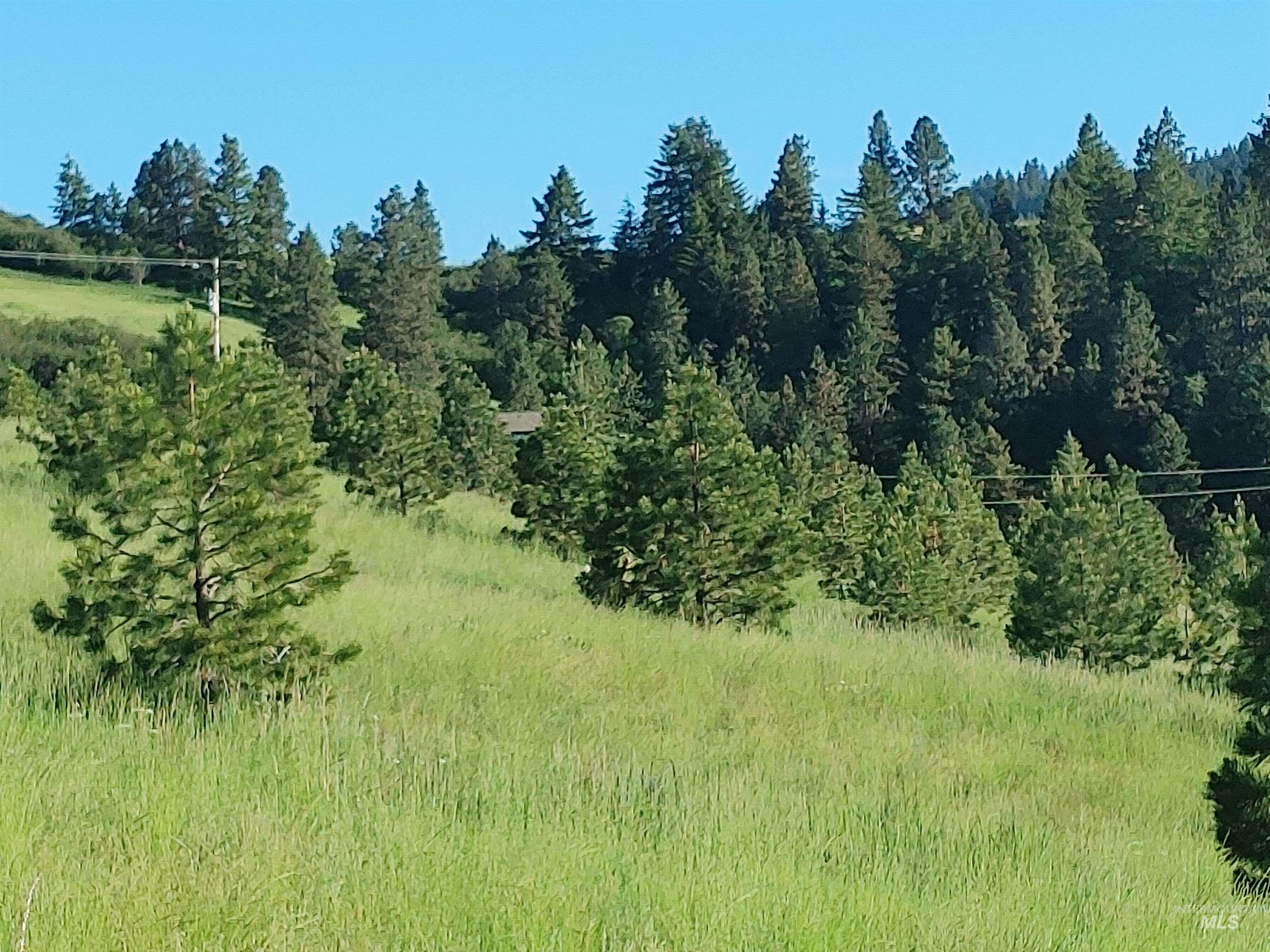 Lot B Forsman Rd Property Photo 40