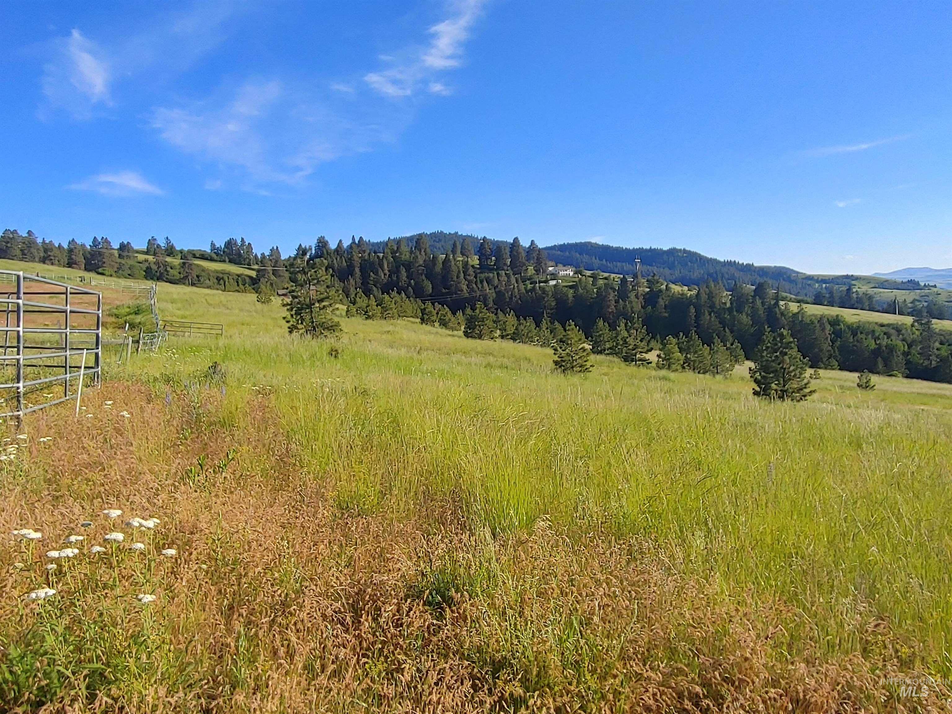 Lot B Forsman Rd Property Photo 42