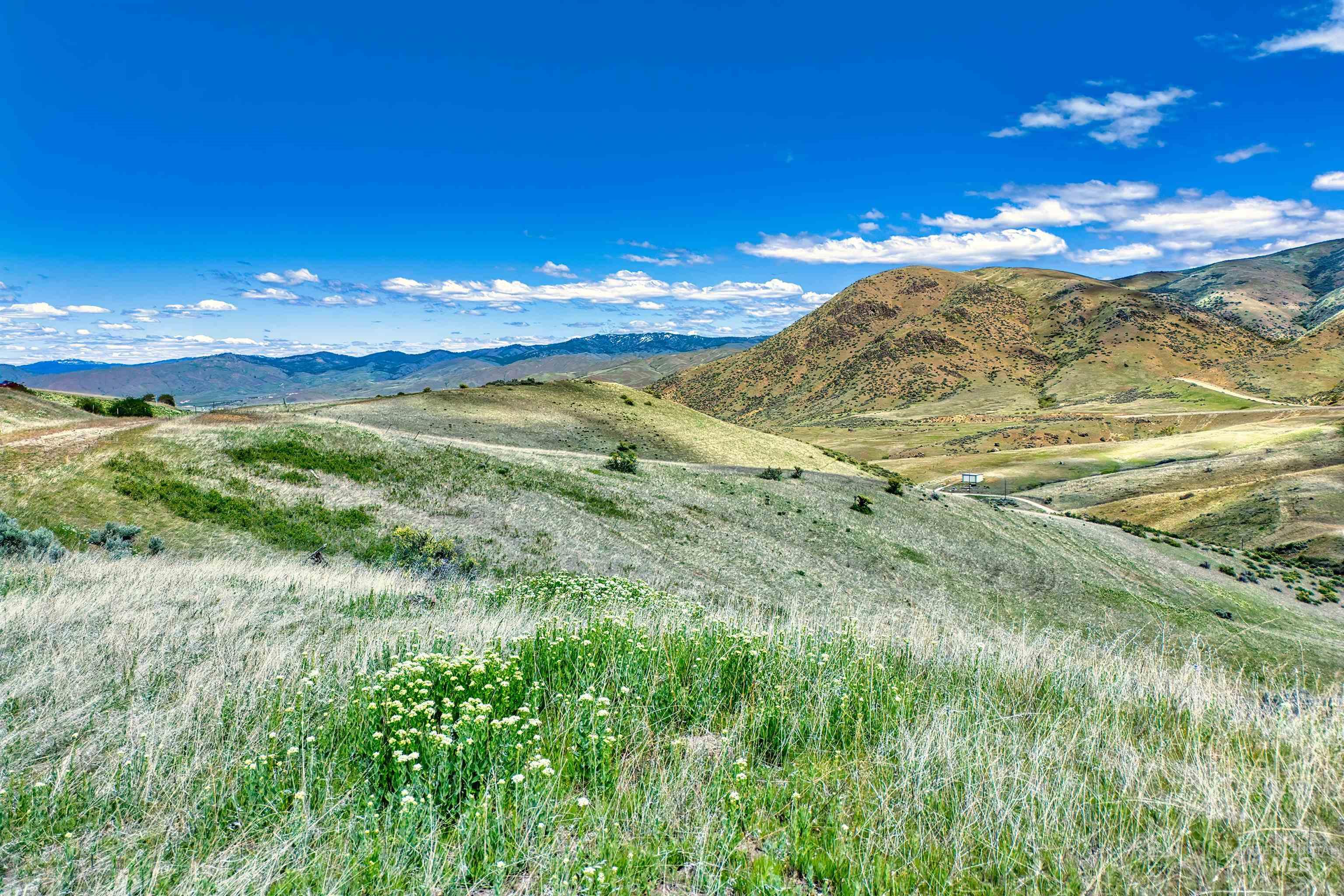 Tbd County Bypass Rd Property Photo 6