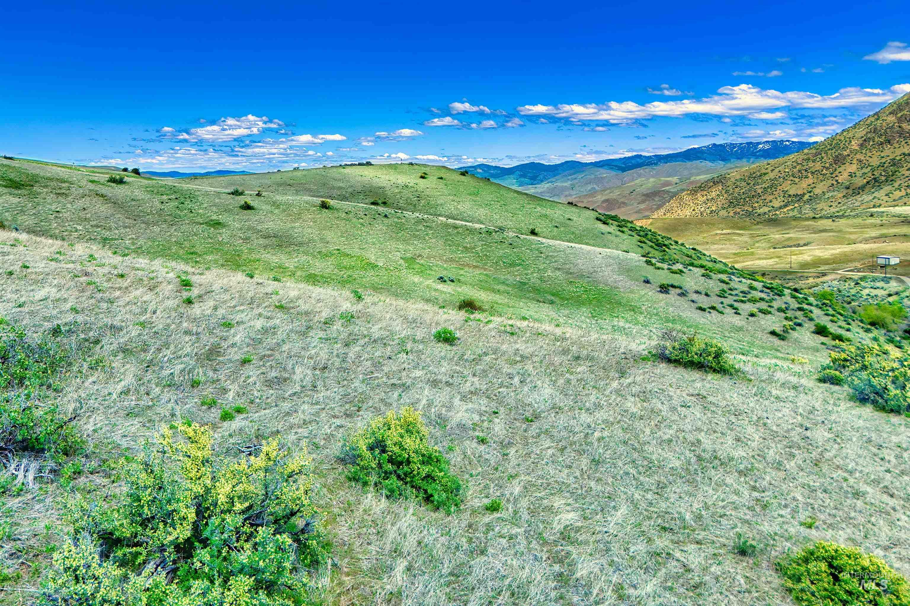Tbd County Bypass Rd Property Photo 8