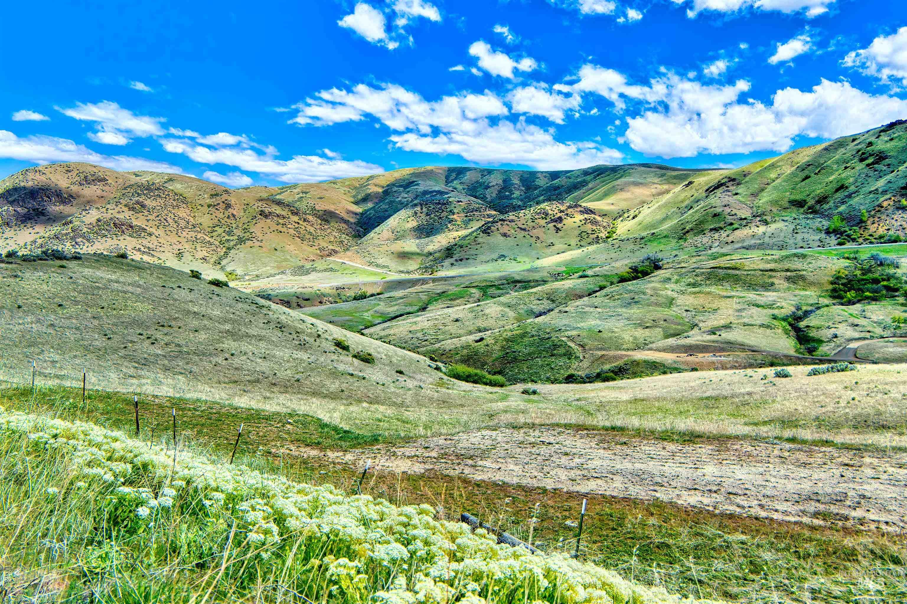 Tbd County Bypass Rd Property Photo 9