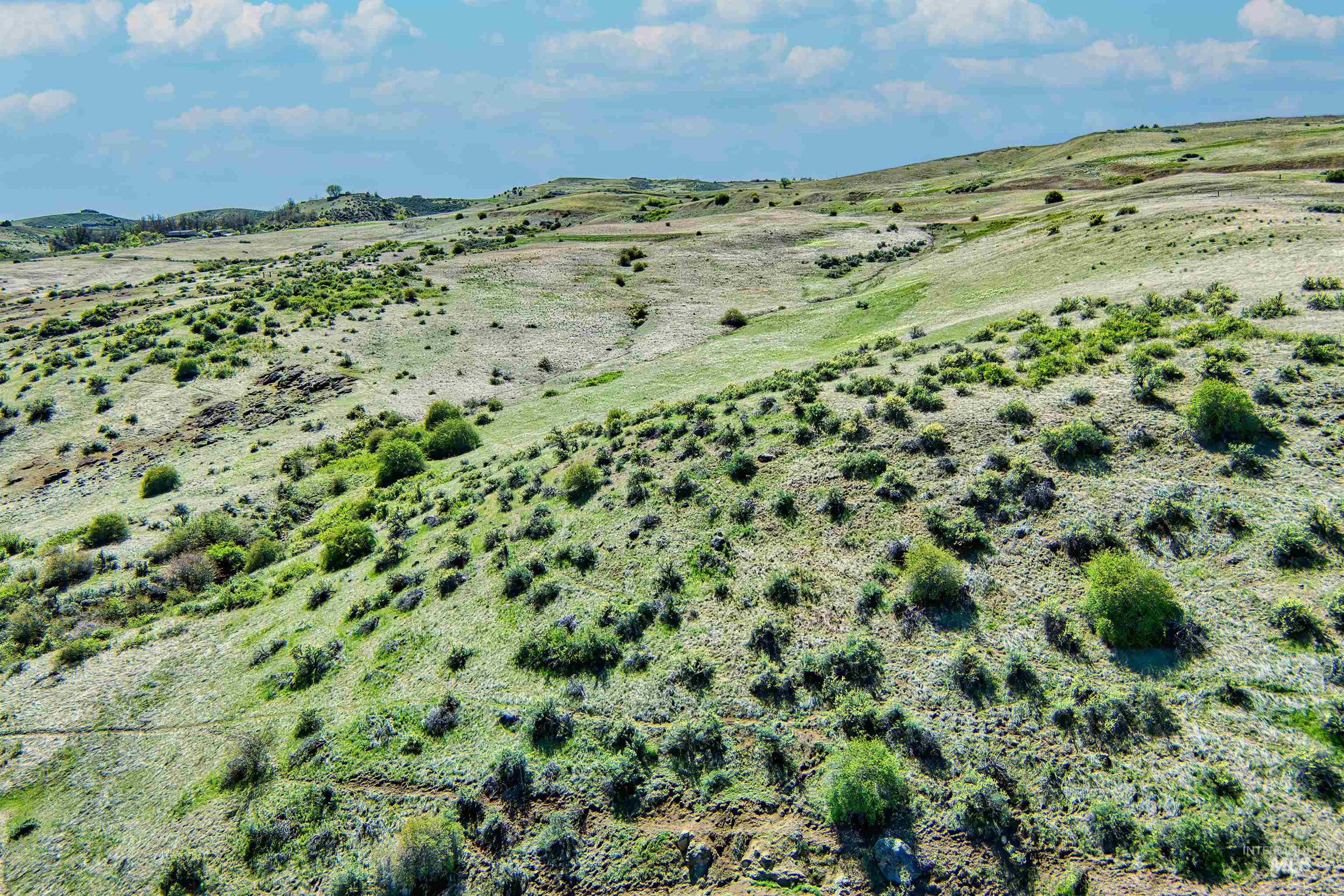 Tbd County Bypass Rd Property Photo 13