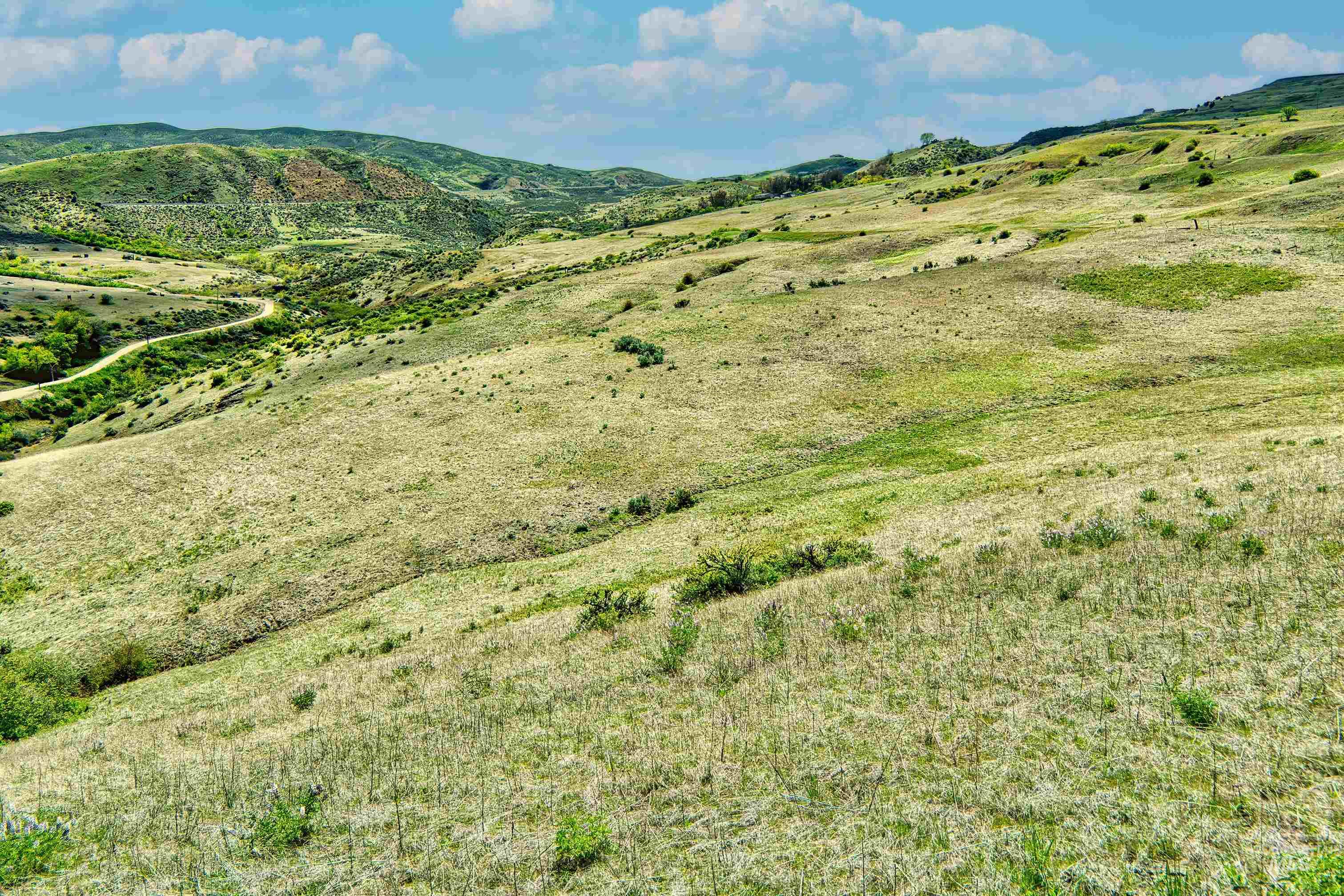 Tbd County Bypass Rd Property Photo 14