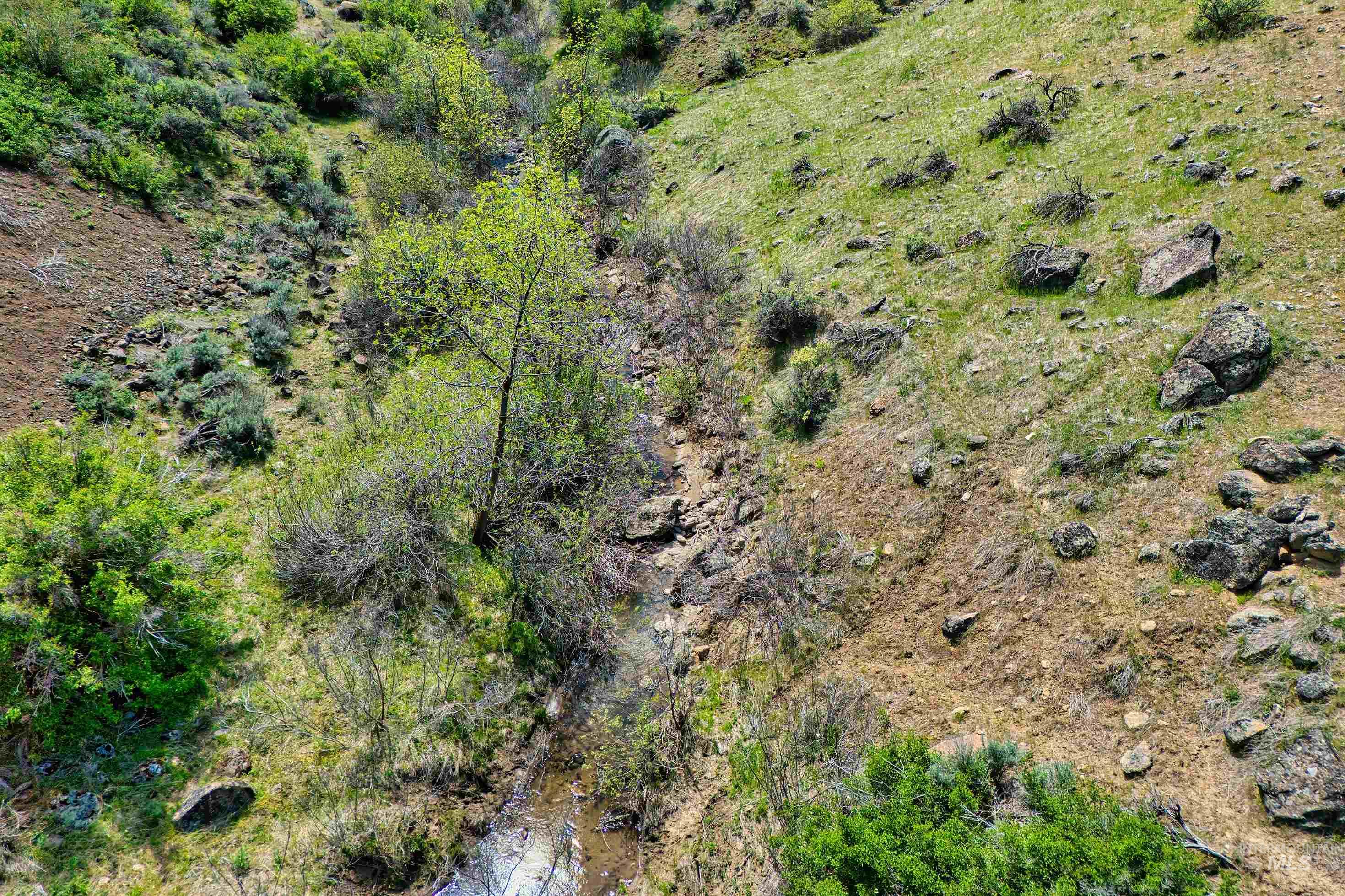 Tbd County Bypass Rd Property Photo 28