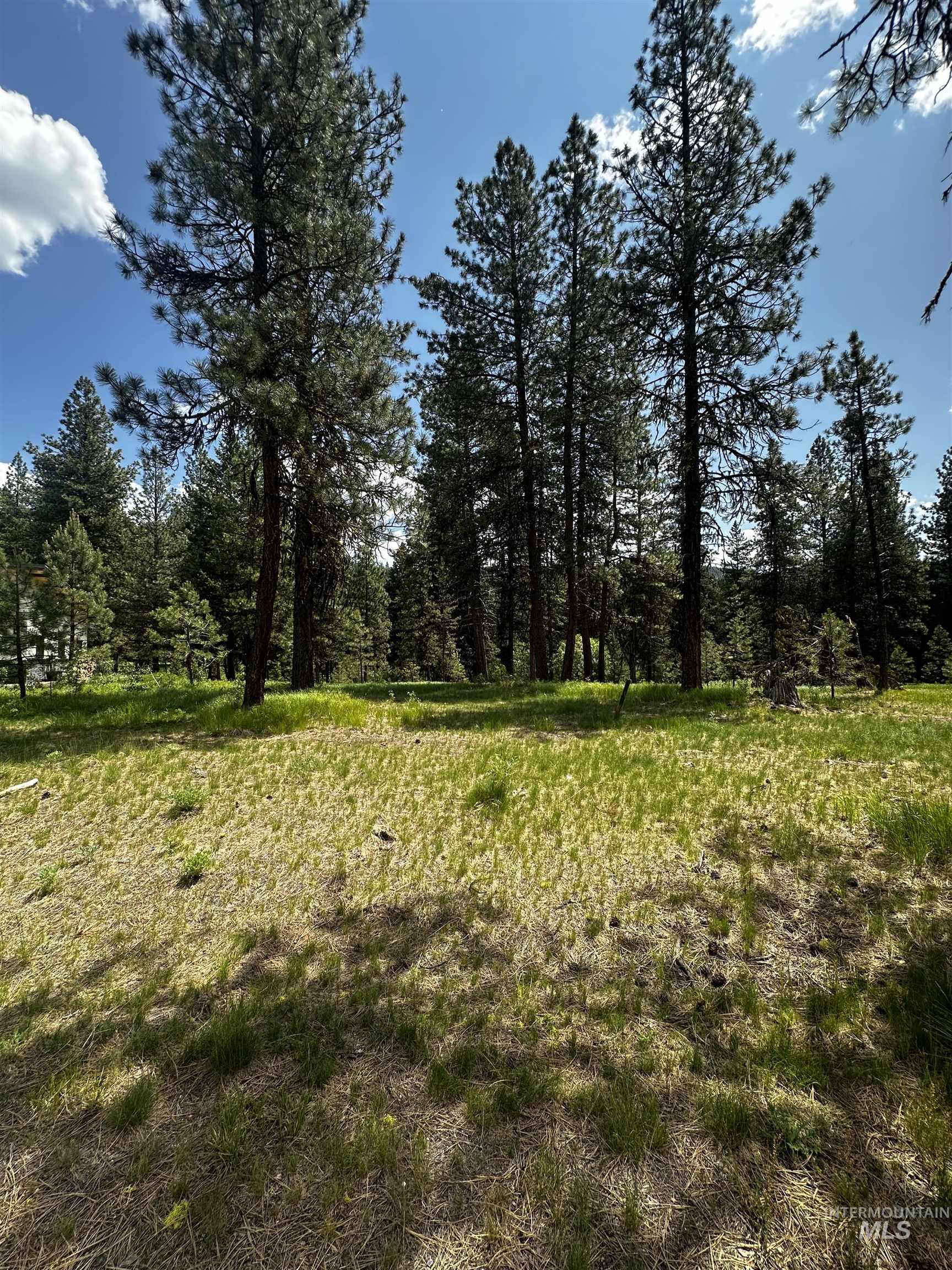 23 Vernon Court Property Photo 1