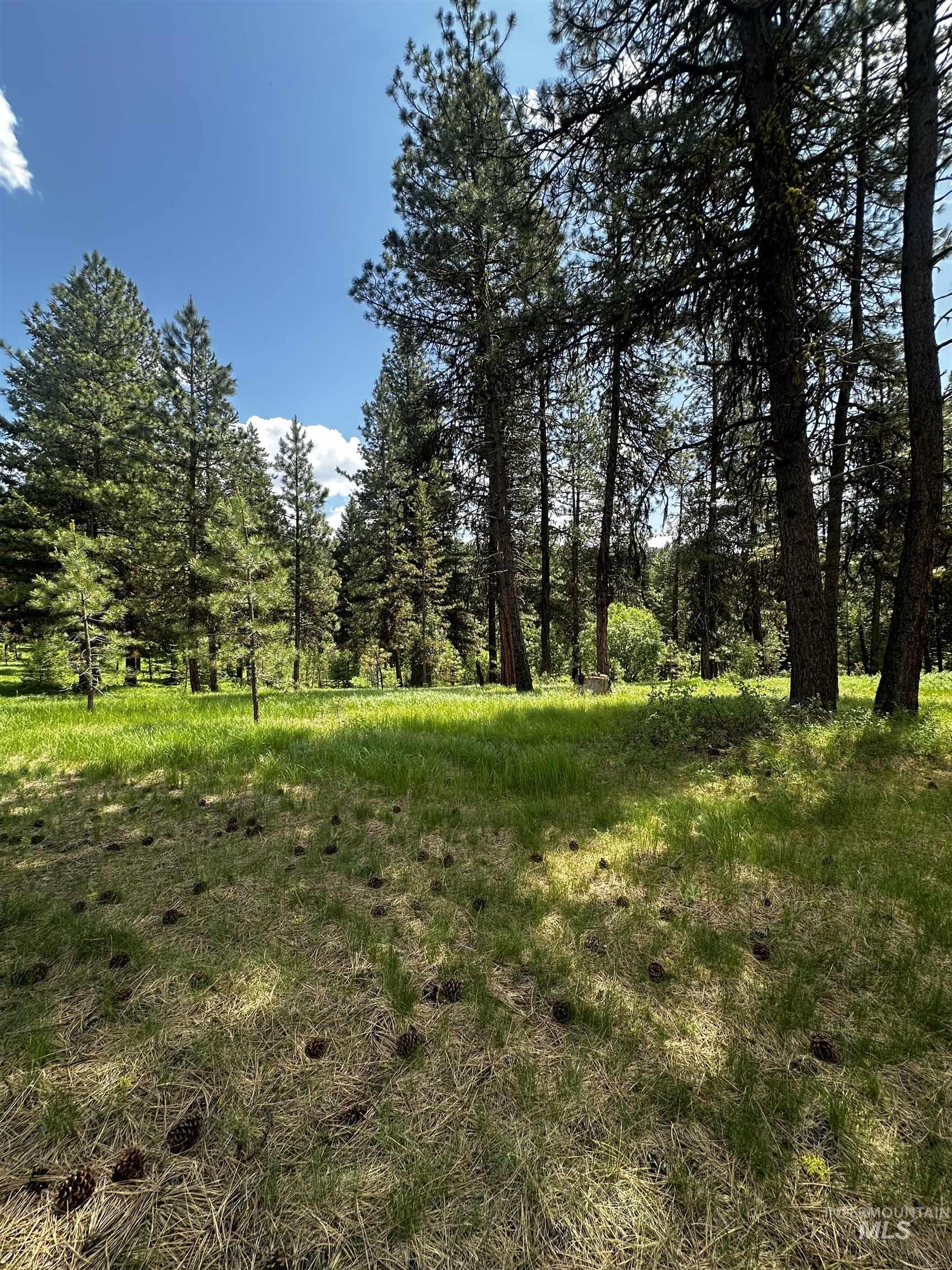 23 Vernon Court Property Photo 2