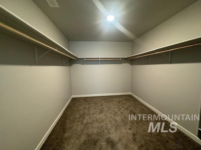 10223 Bellevue Ridge St Property Photo 11