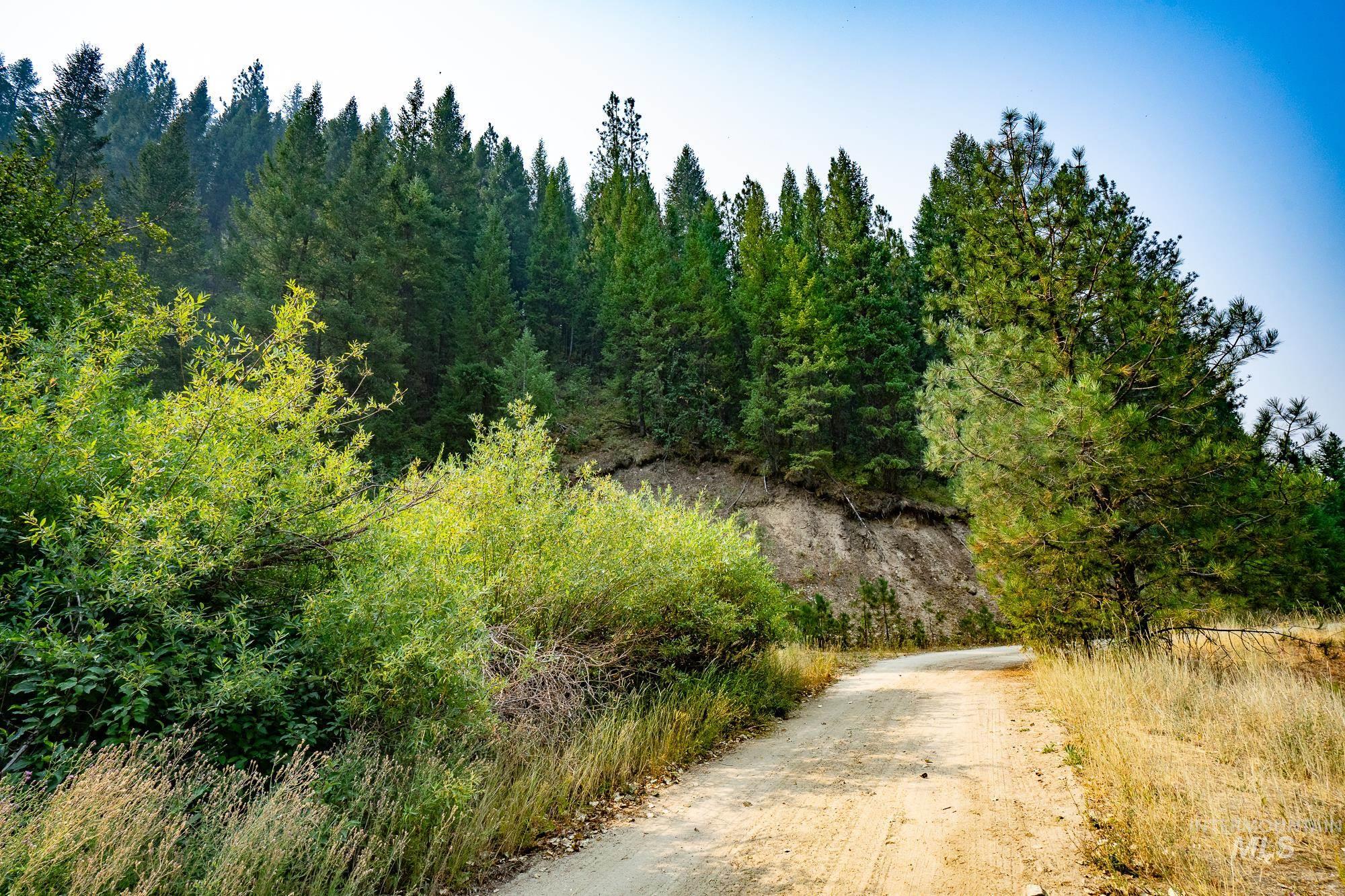 Tbd Forestland Property Photo 2