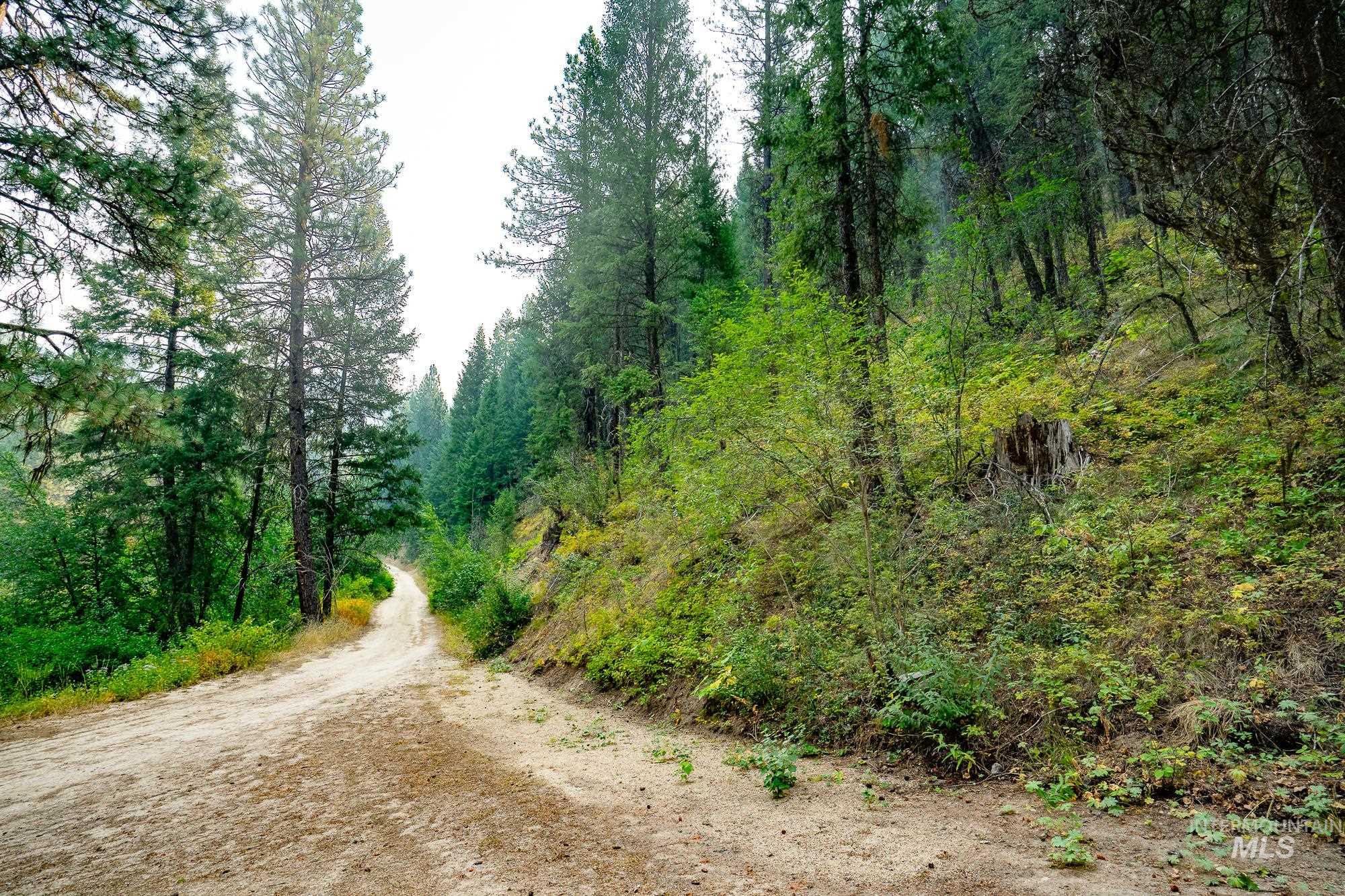 Tbd Forestland Property Photo 3