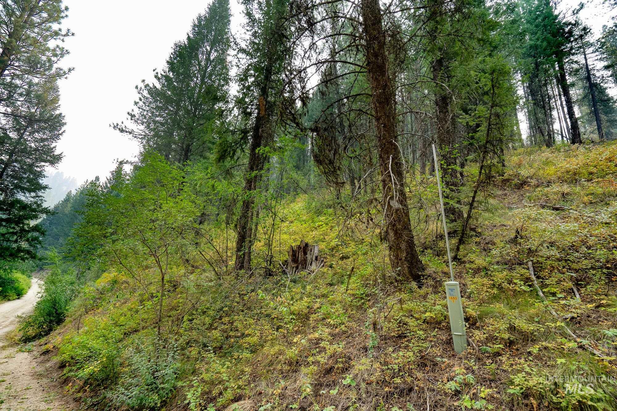 Tbd Forestland Property Photo 4
