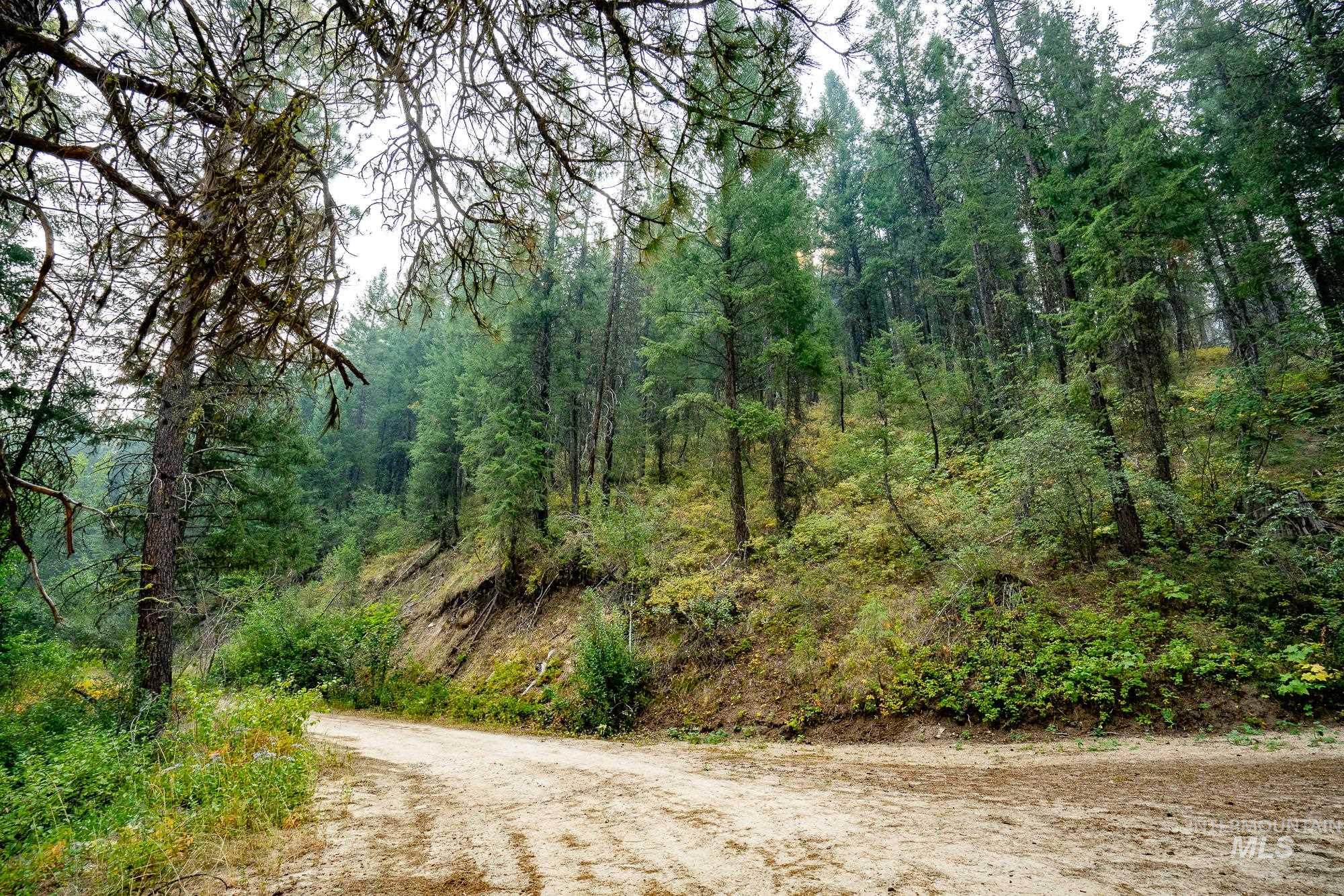 Tbd Forestland Property Photo 5