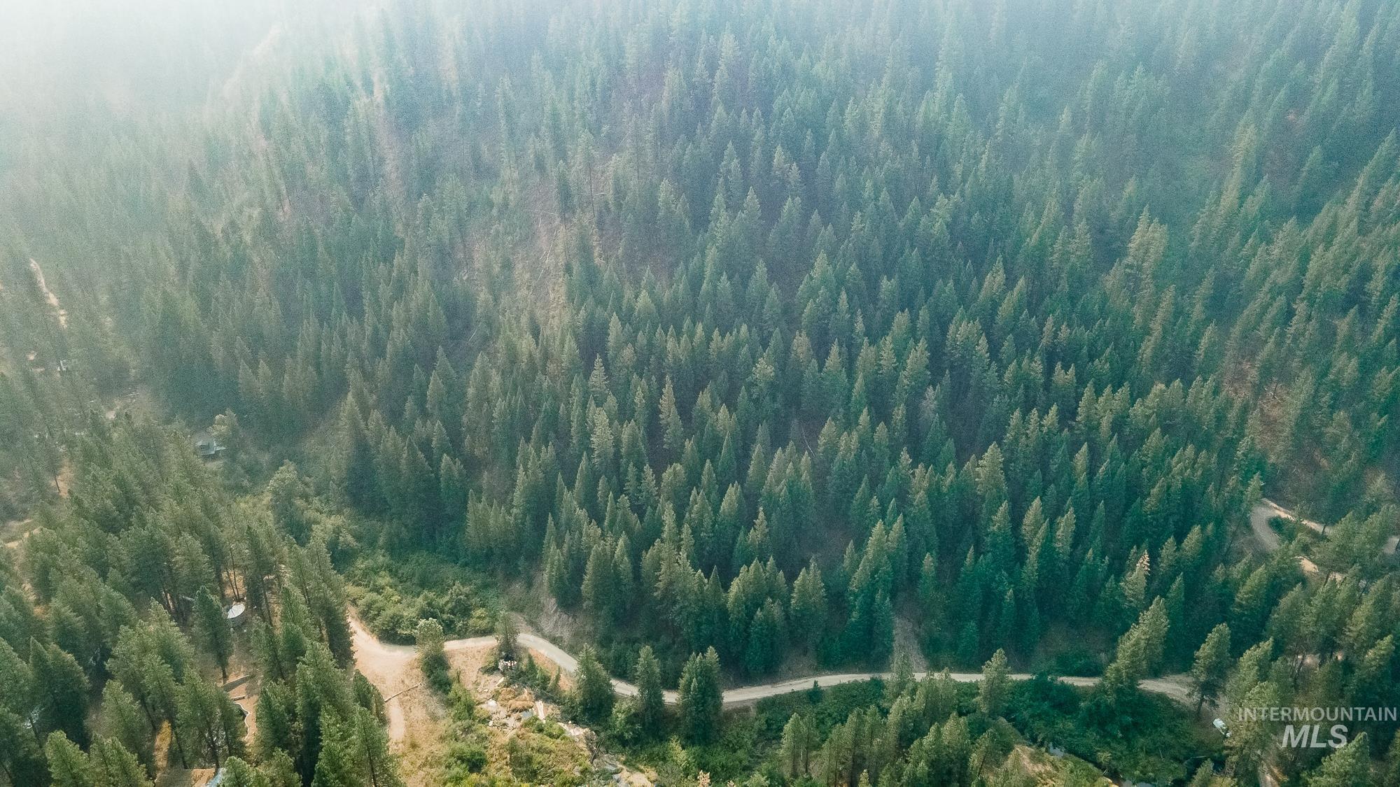 Tbd Forestland Property Photo 6